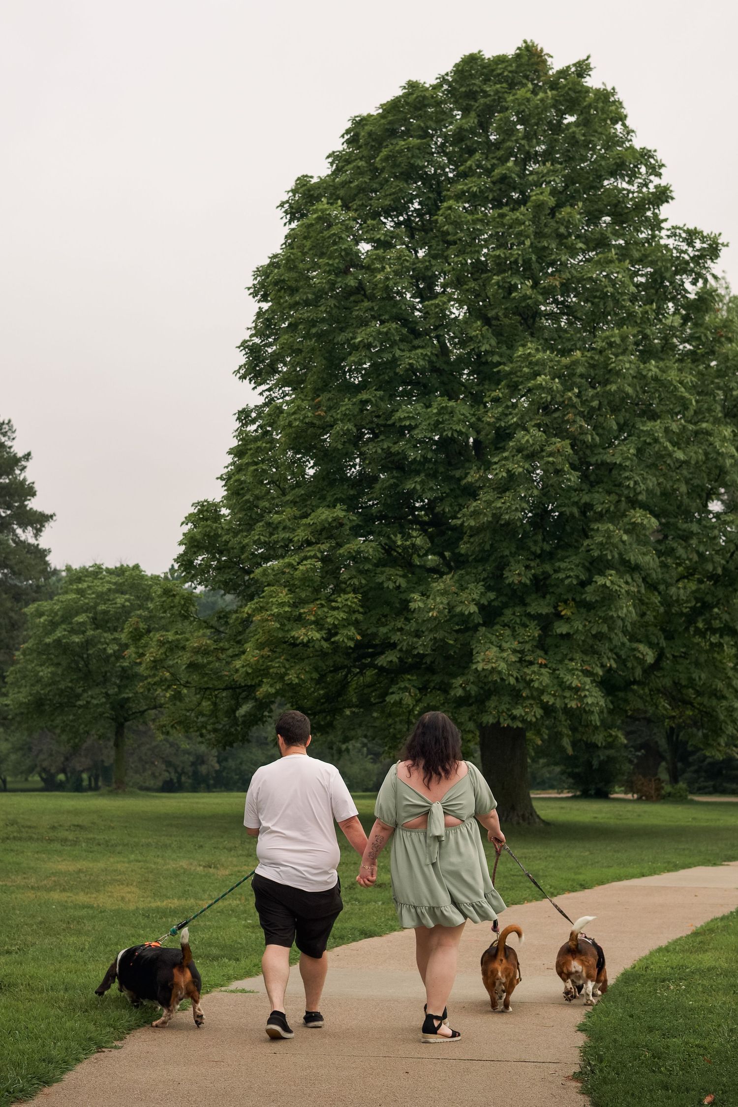 Couple holding hands walking two dogs on a paved path in a lush green park with large trees.