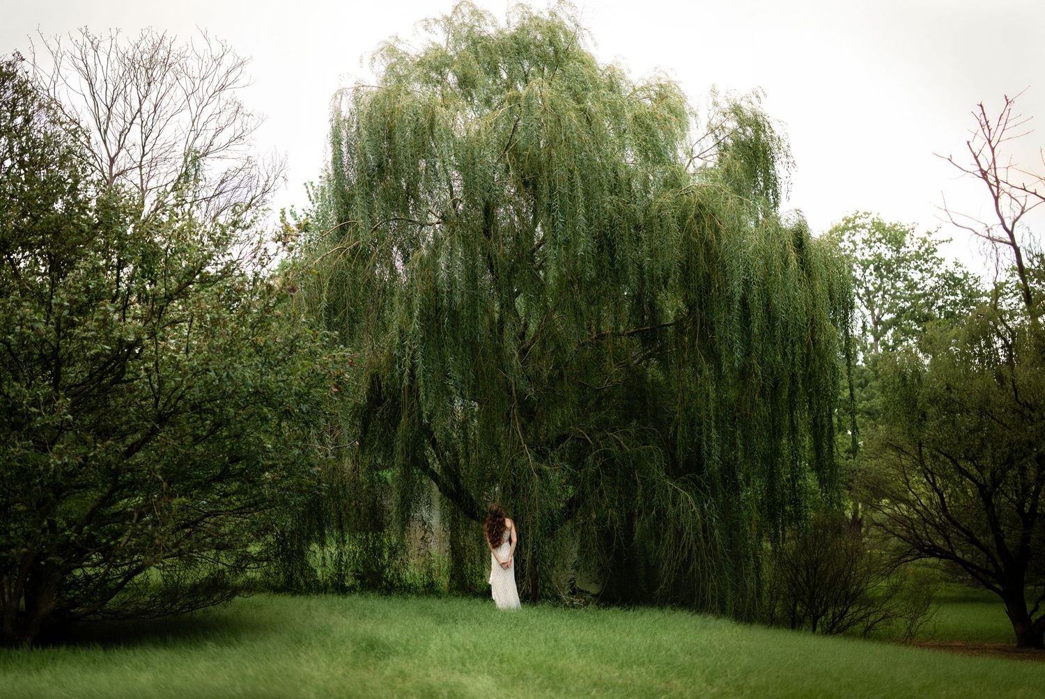 Bride in white gown standing beneath a weeping willow tree in a lush green garden landscape.