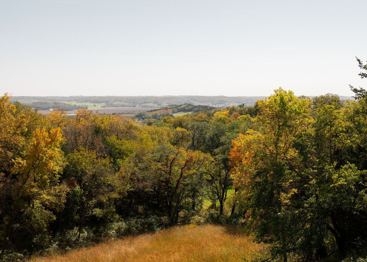 Aerial view of a lush autumn forest with colorful foliage in shades of green, yellow, and orange under a clear sky.