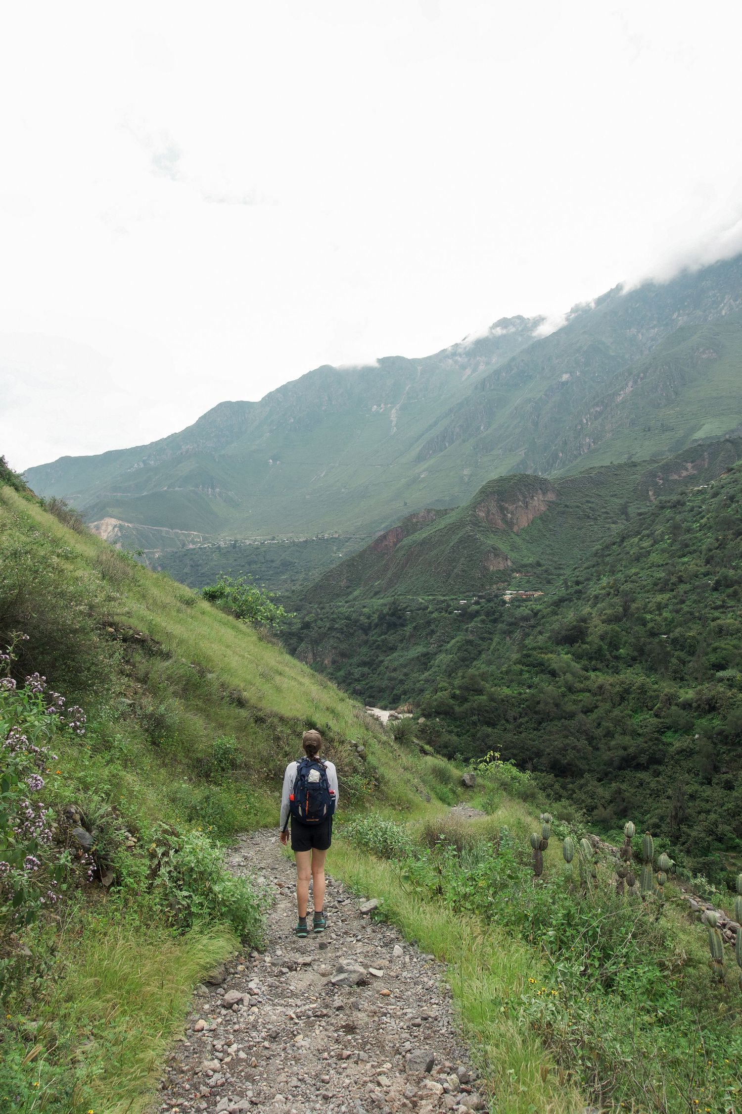 A solo female hiker with backpack walks a rocky mountain trail surrounded by lush green valleys and misty peaks.