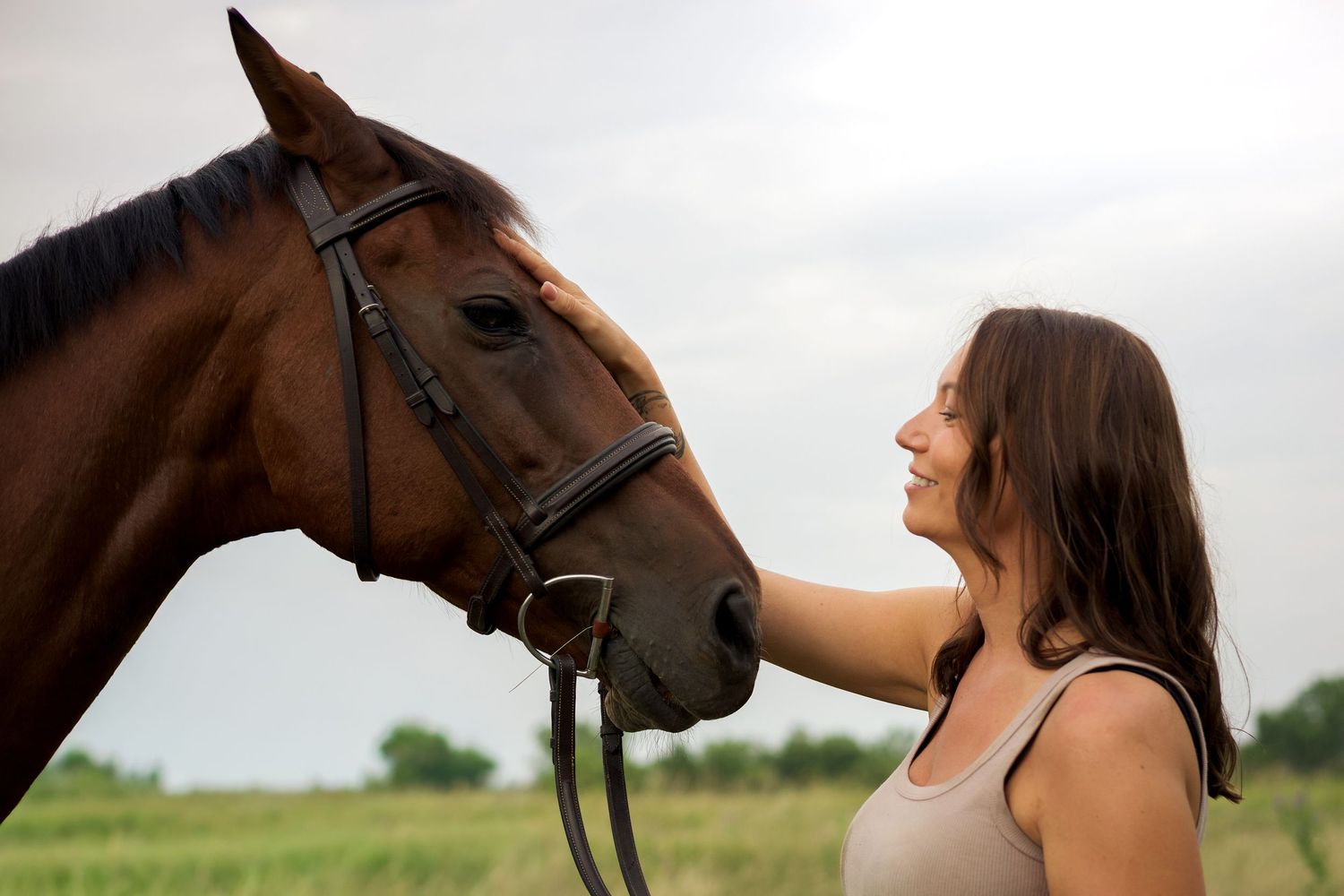 Woman gently touching a brown horse's face in a field, showcasing a peaceful bond between human and animal.