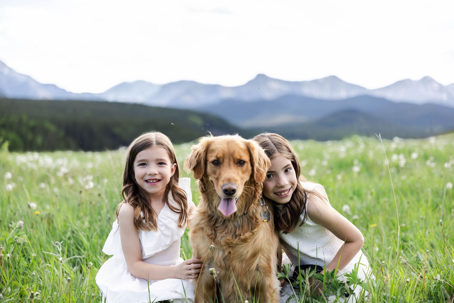 Two girls in white dresses pose with a golden retriever in a mountain meadow with wildflowers and scenic peaks.