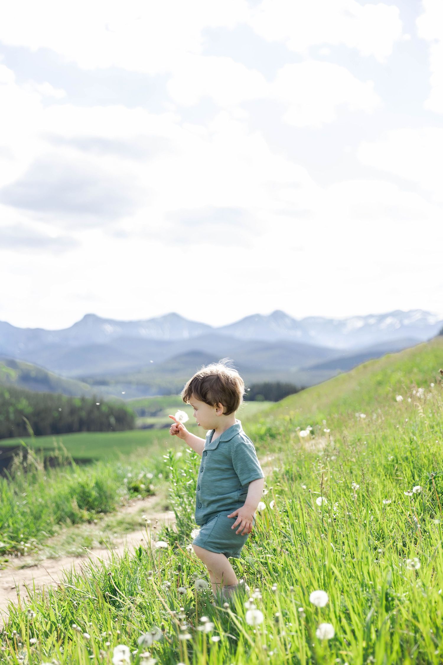 Toddler in green outfit blowing dandelion in lush mountain meadow on sunny day in Kananaskis