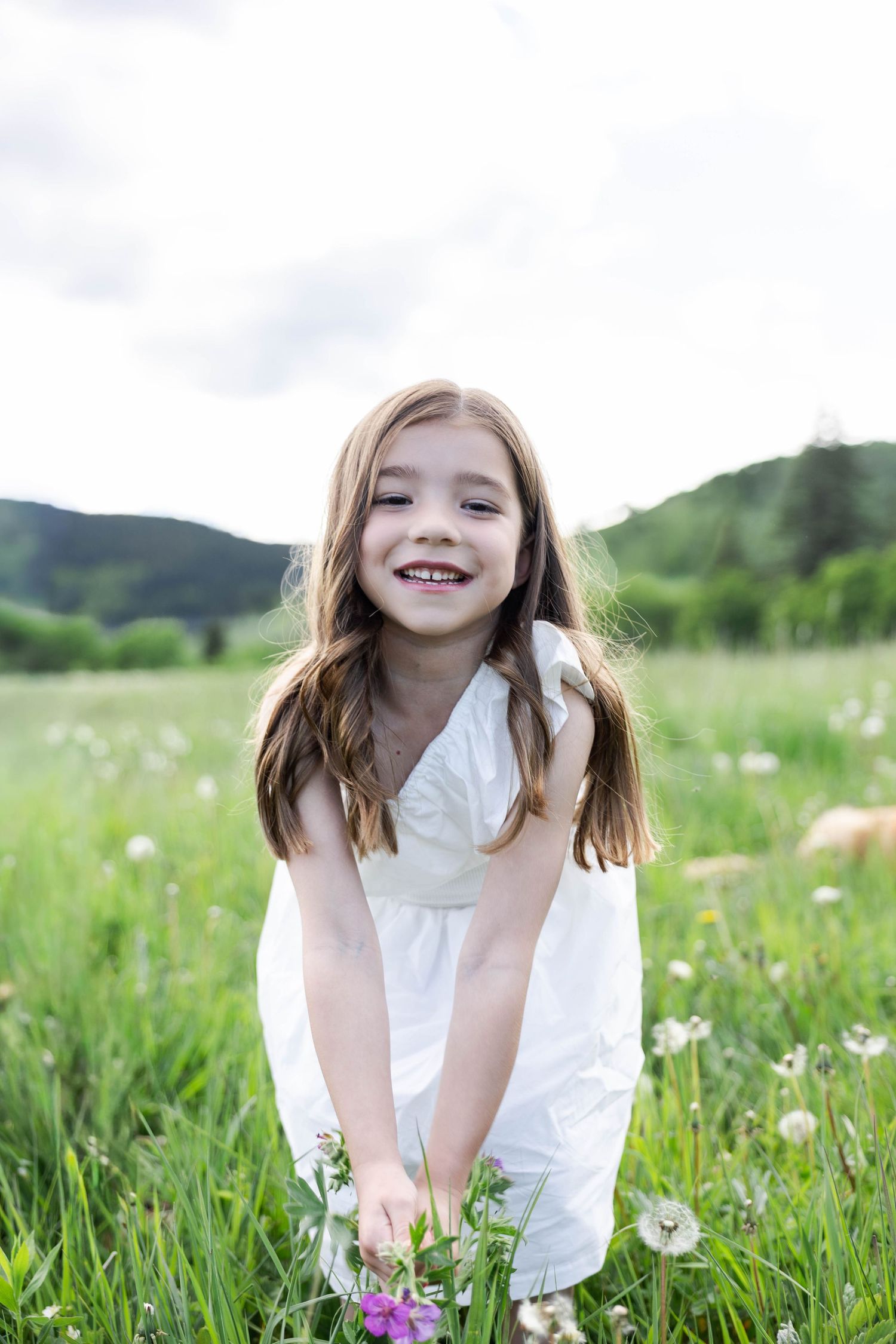 A smiling young girl in a white dress picks wildflowers in a lush green meadow with mountains in the background.