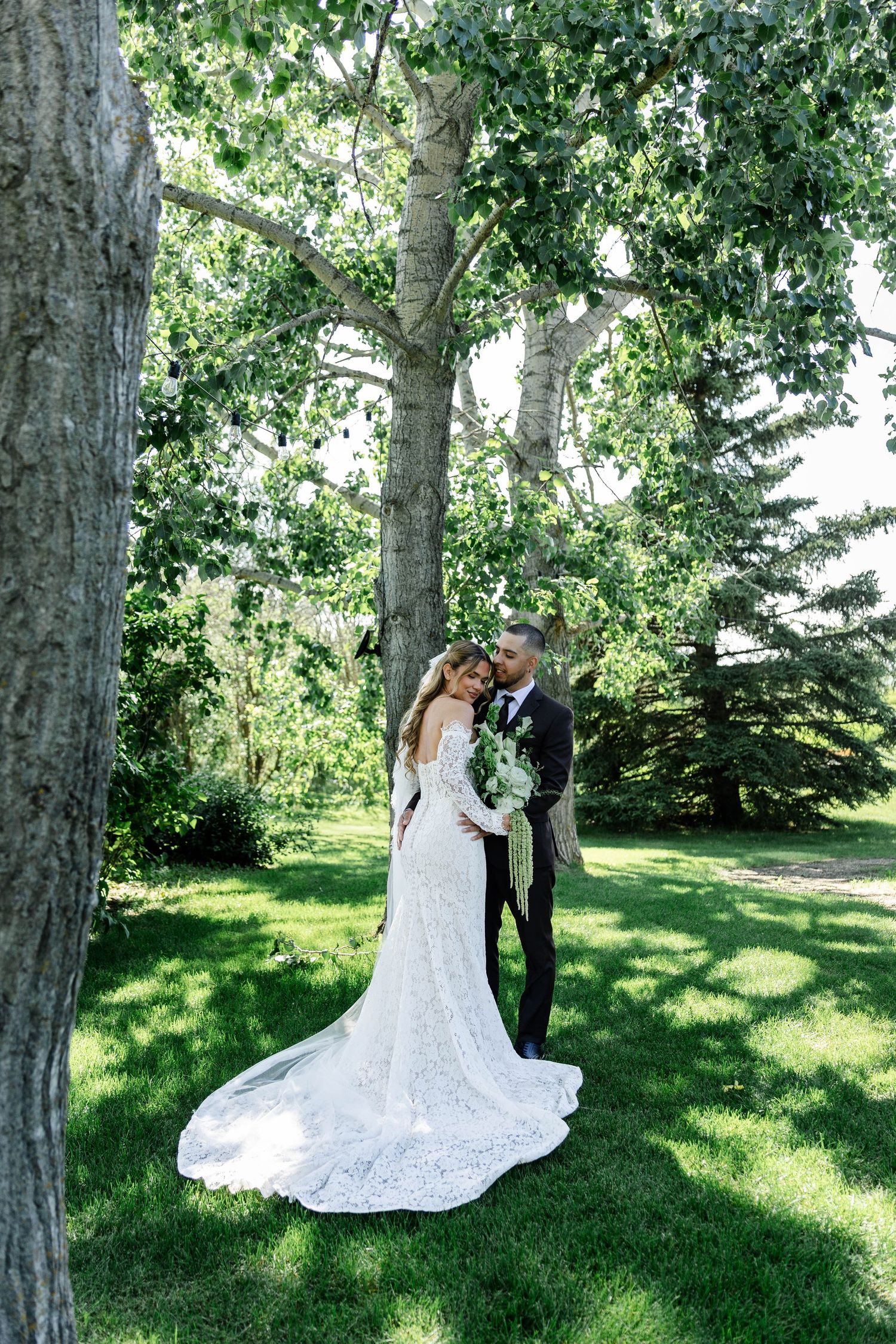 Bride and groom embracing under a large tree on lush green grass, bride wearing elegant lace gown with long train.