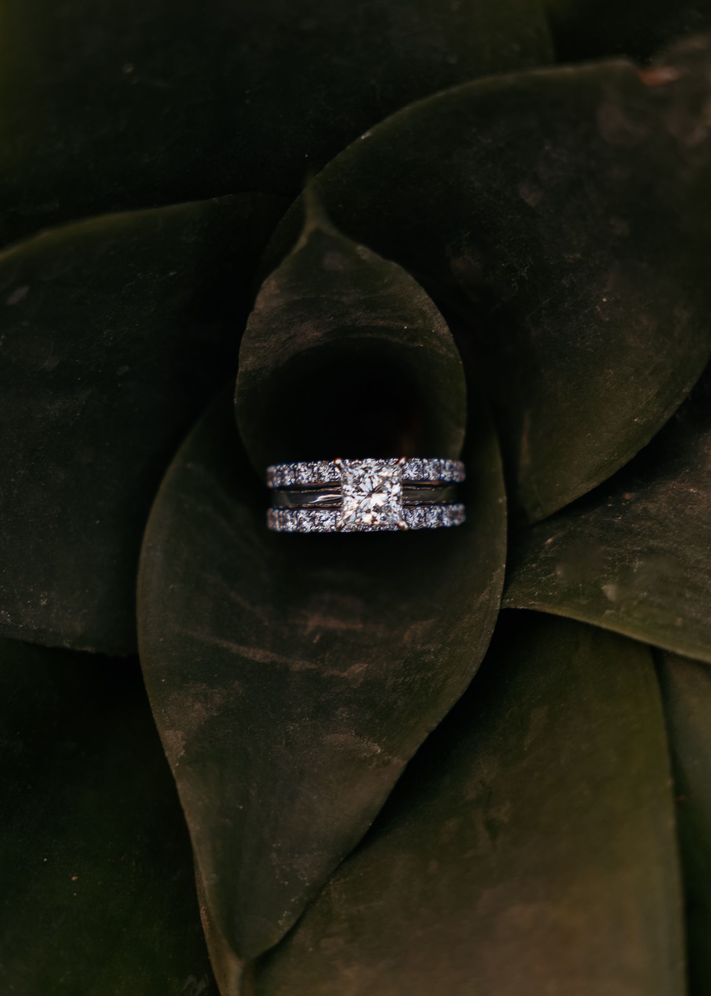Diamond engagement ring and wedding band set displayed on dark green tropical leaves.