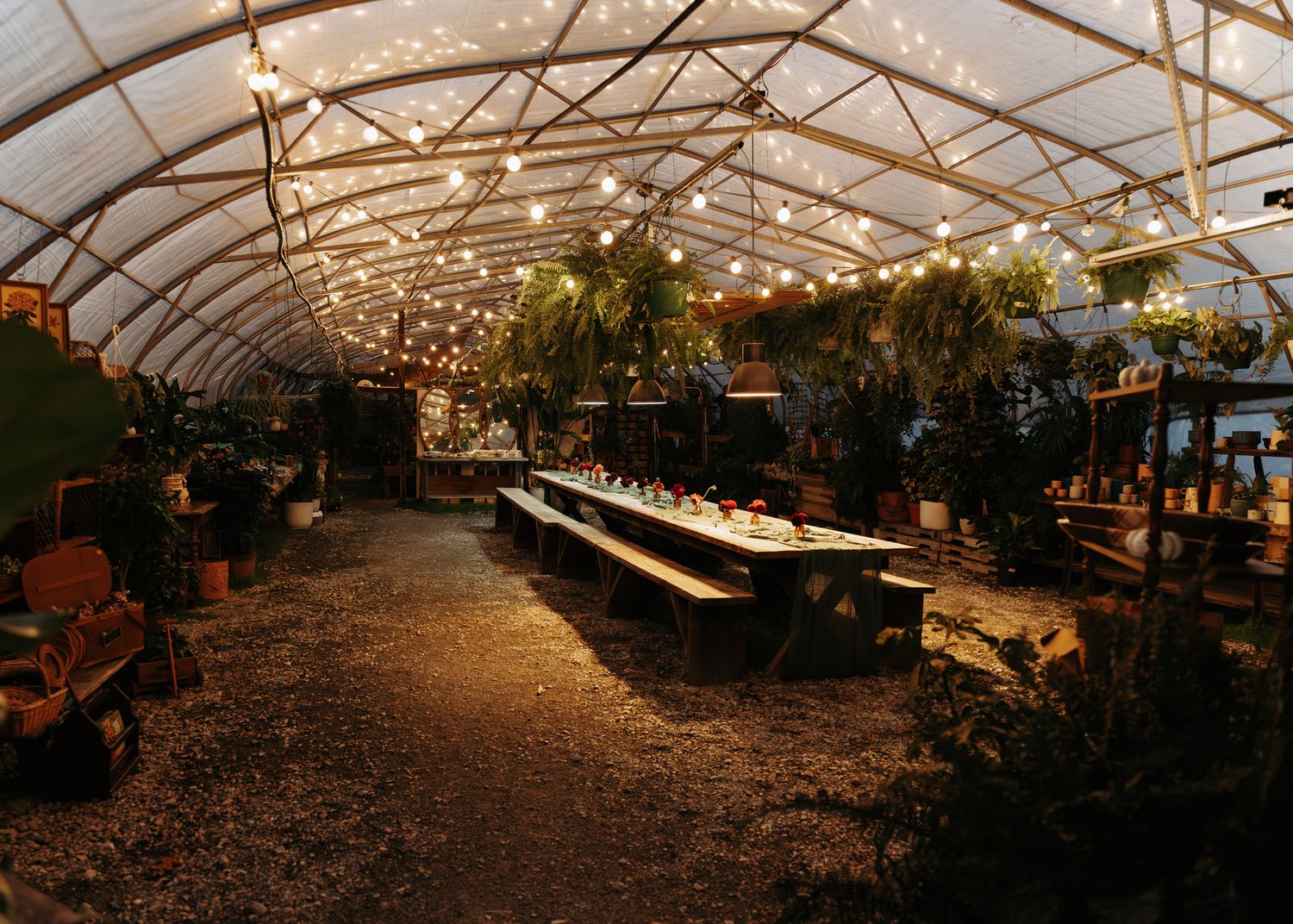 Elegant greenhouse wedding reception venue with string lights and long dining table.