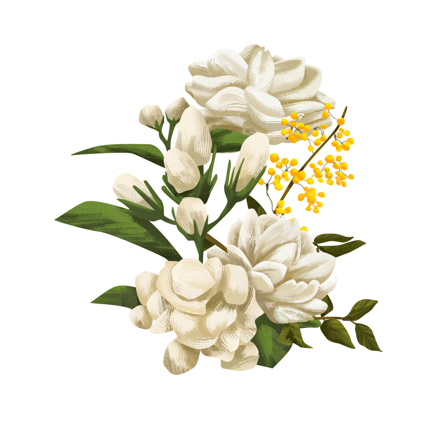 Beautiful white gardenia bouquet with yellow mimosa accents and green leaves illustration.