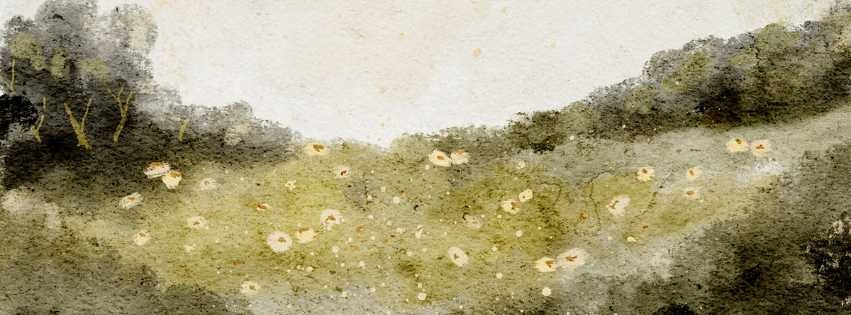 Vintage watercolor painting of a serene meadow with wildflowers and dark green trees on the horizon.