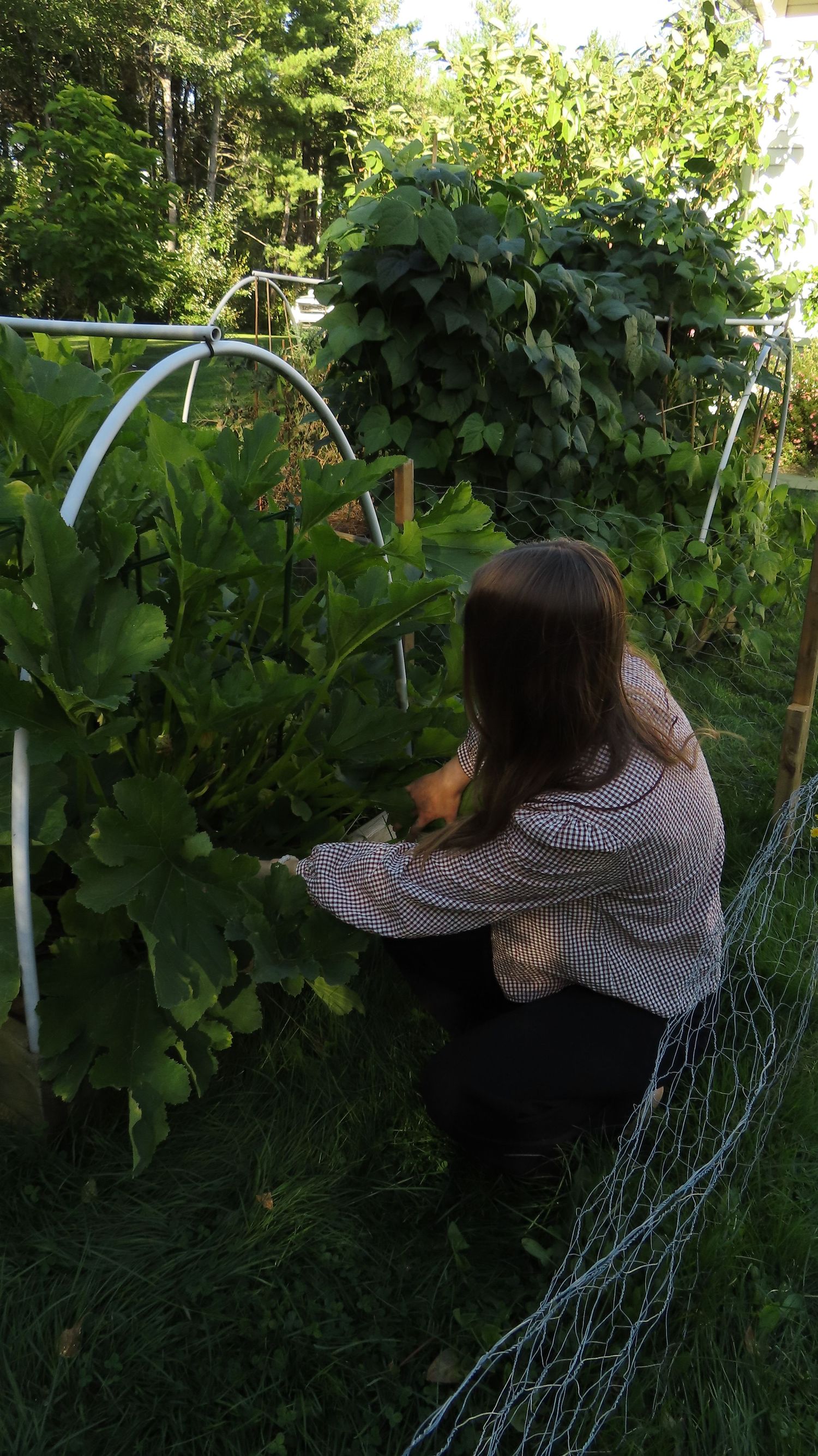 Woman in plaid shirt tending to vegetable garden plants in a lush backyard garden.