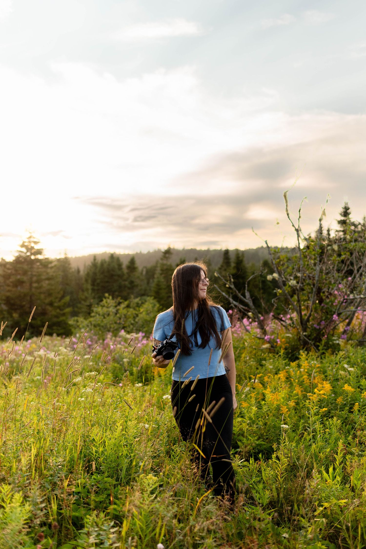 Young woman holding camera stands in wildflower meadow at golden hour sunset with forest backdrop.