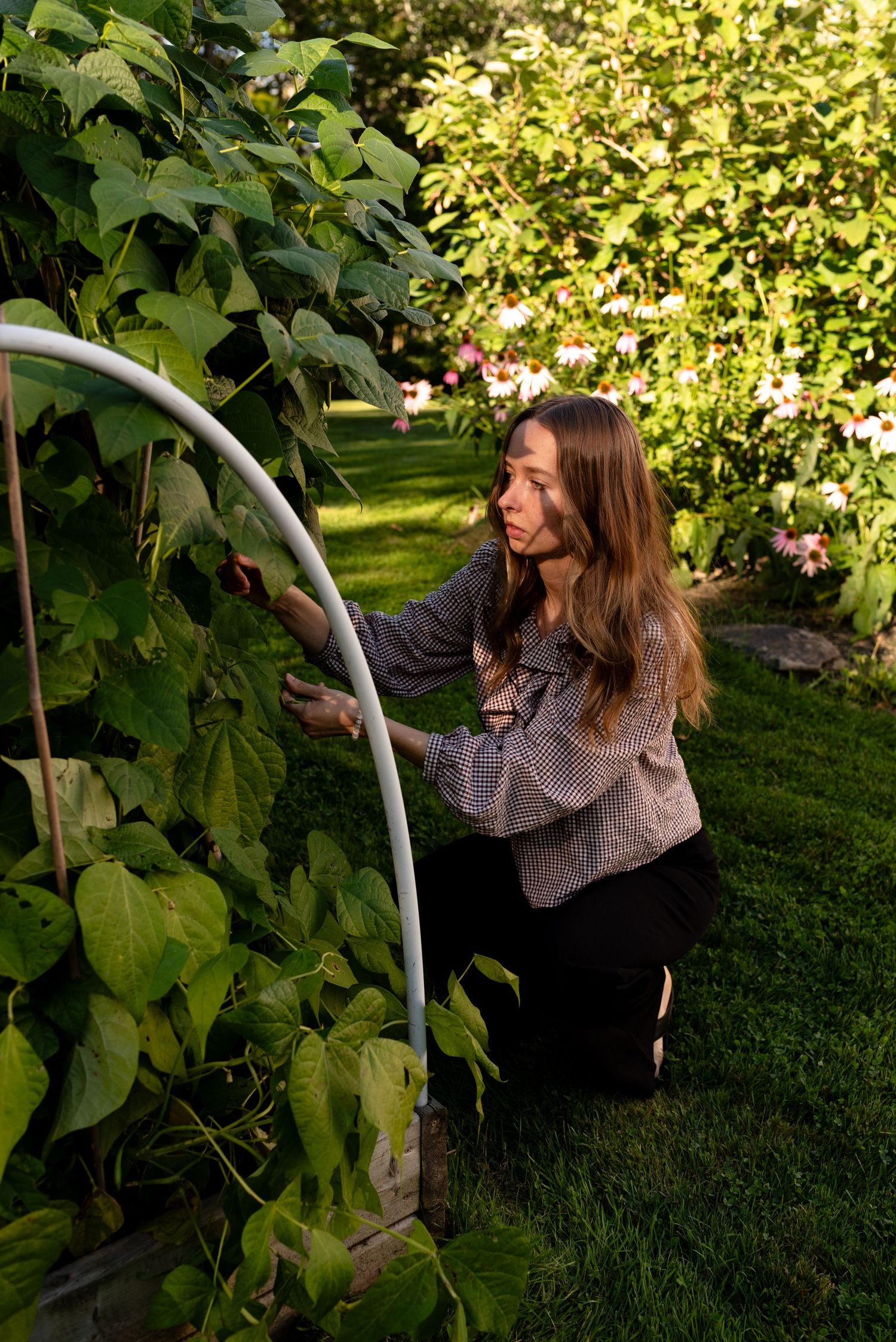 Young woman in plaid top kneeling beside green bean plants on garden trellis in sunlit backyard.