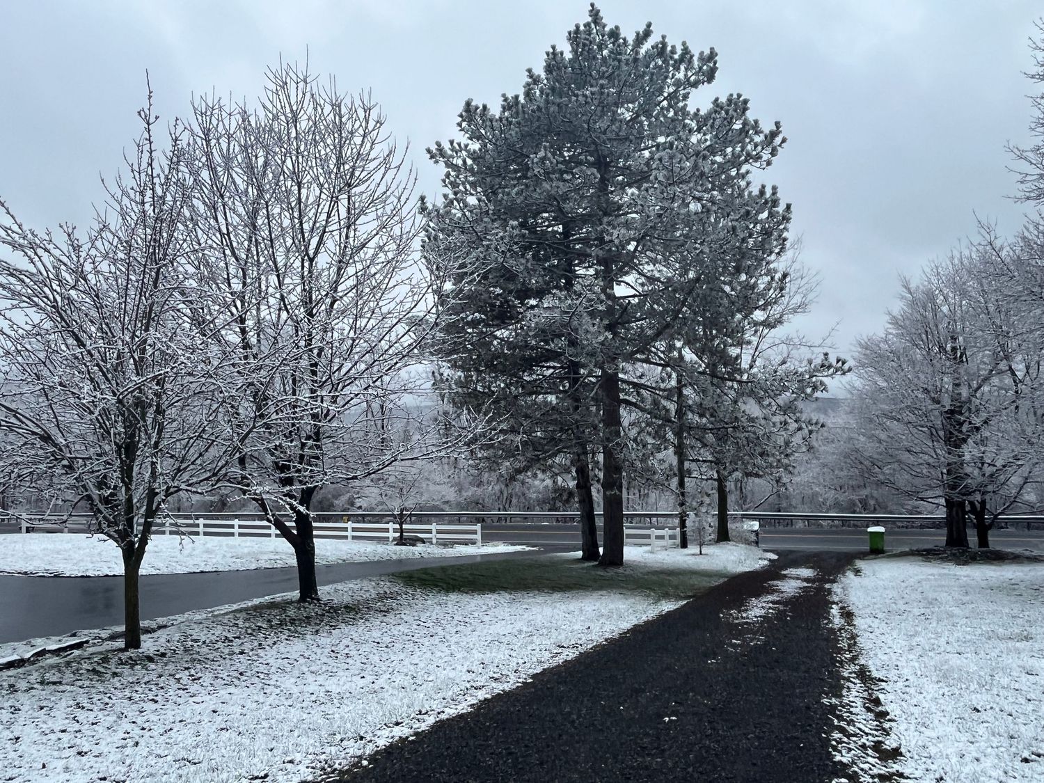A landscape of snow surrounded by trees
