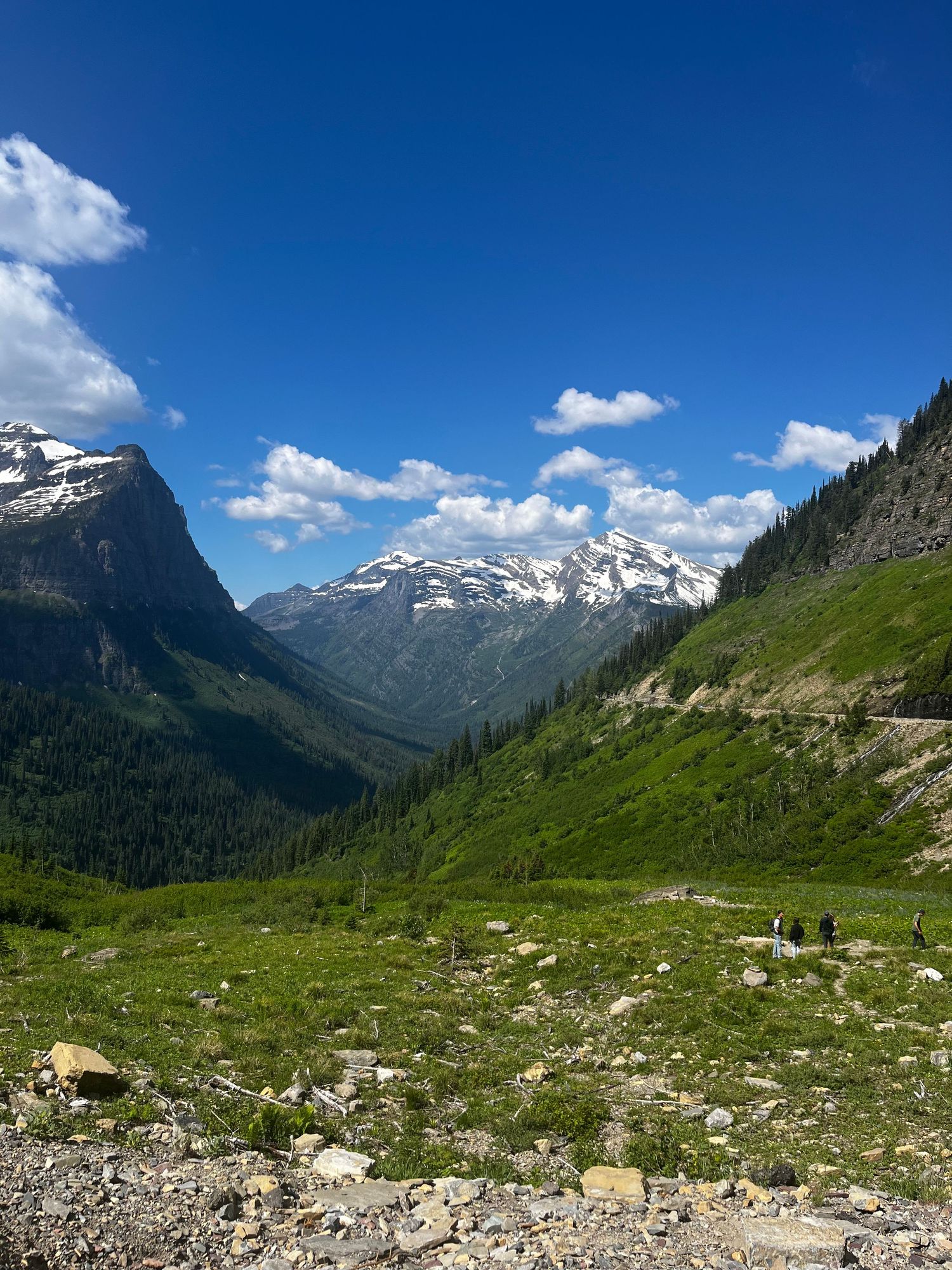 A landscape of mountains surrounded by grass, with some covered in snow.