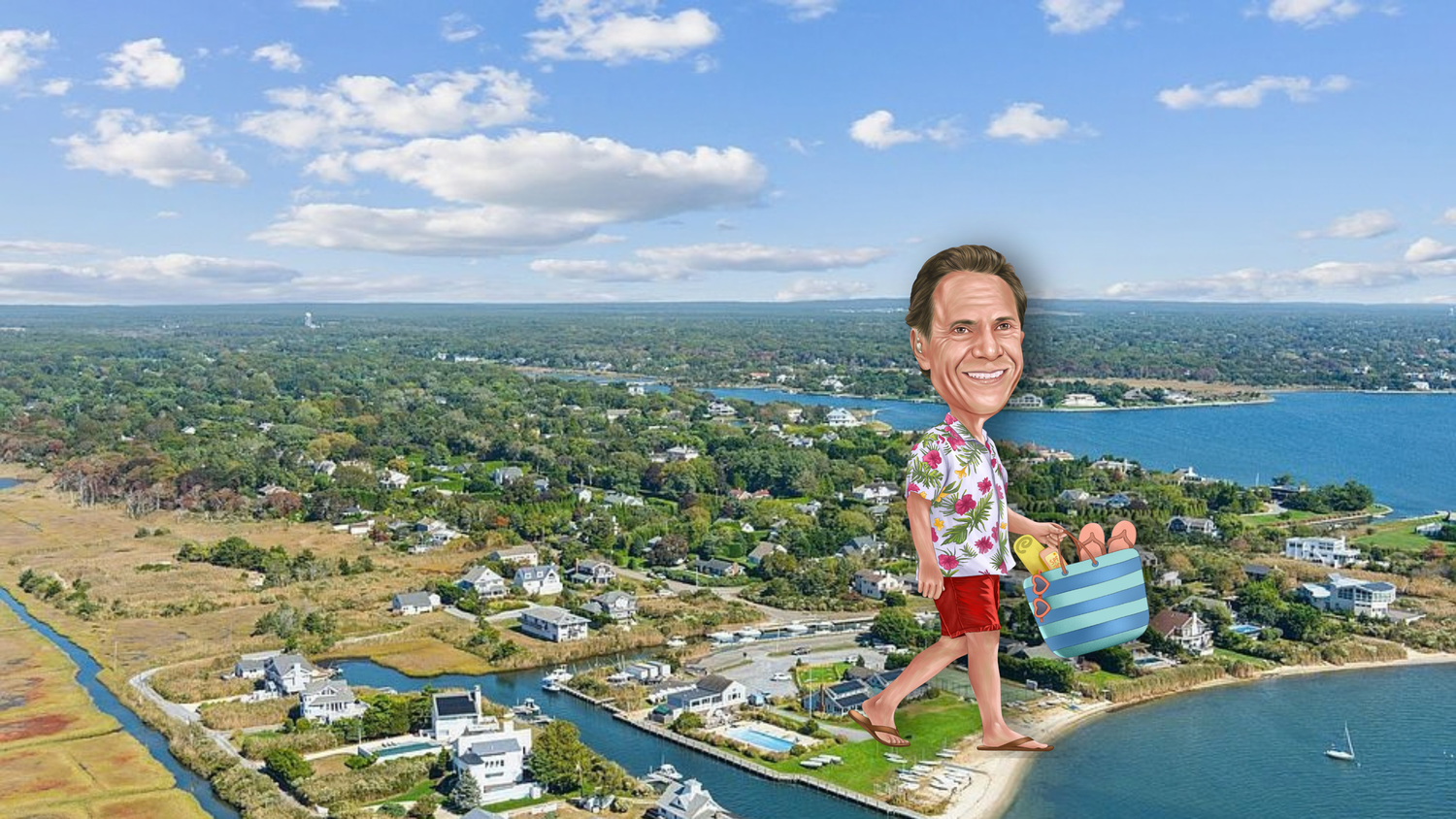 Caricature illustration of a smiling man in Hawaiian shirt overlaid on aerial coastal neighborhood photo.