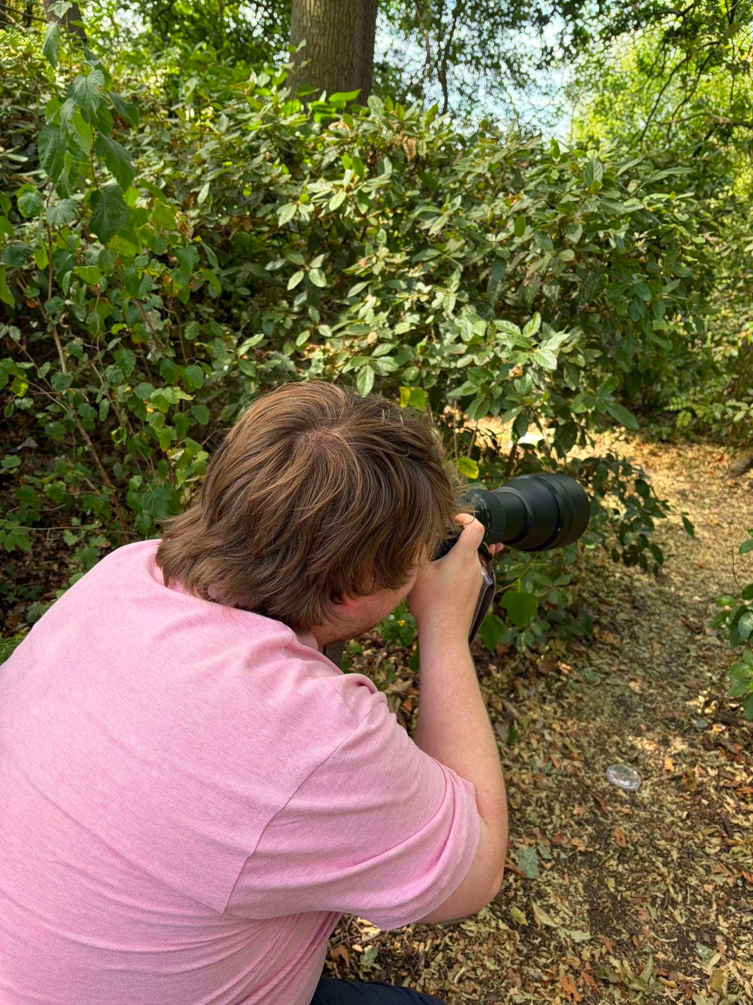 A photographer crouches in nature, using a telephoto lens camera to capture wildlife in green bushes.