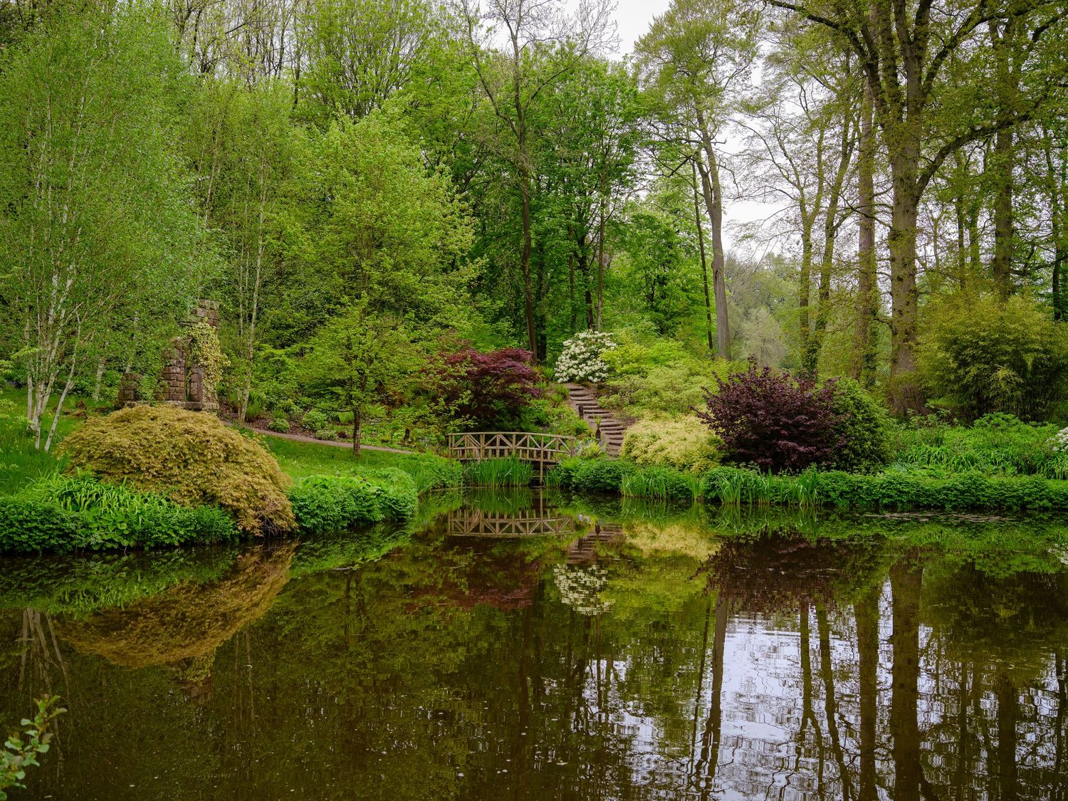 Tranquil garden pond reflecting colorful trees and flowering shrubs on a misty spring day.  Taken by AJCoatesPhotography