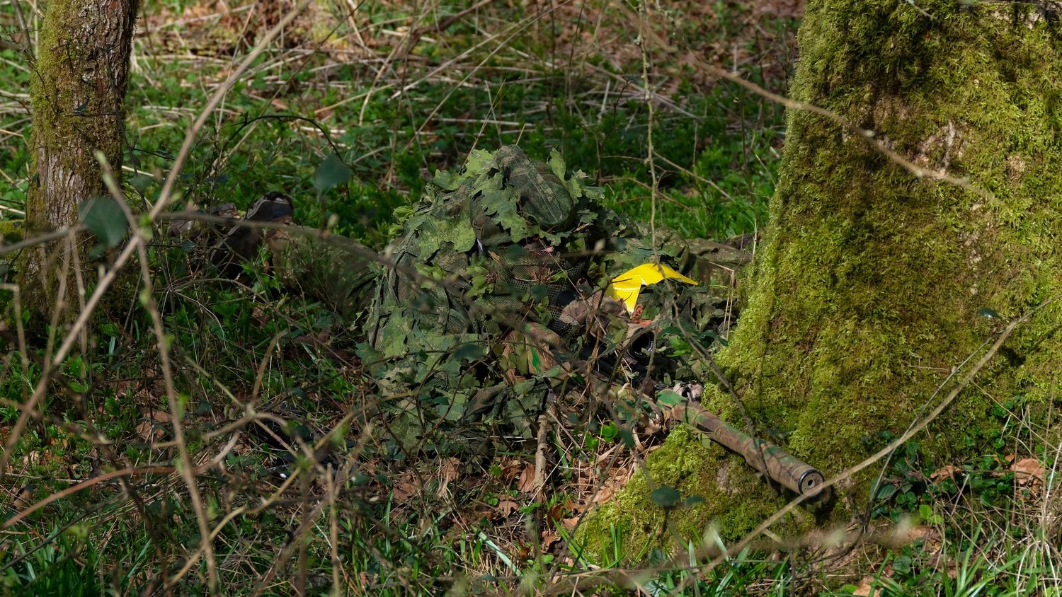 Soldier in ghillie suit camouflaged among forest undergrowth and moss-covered tree trunk. Photo Taken by AJCoatesPhotography