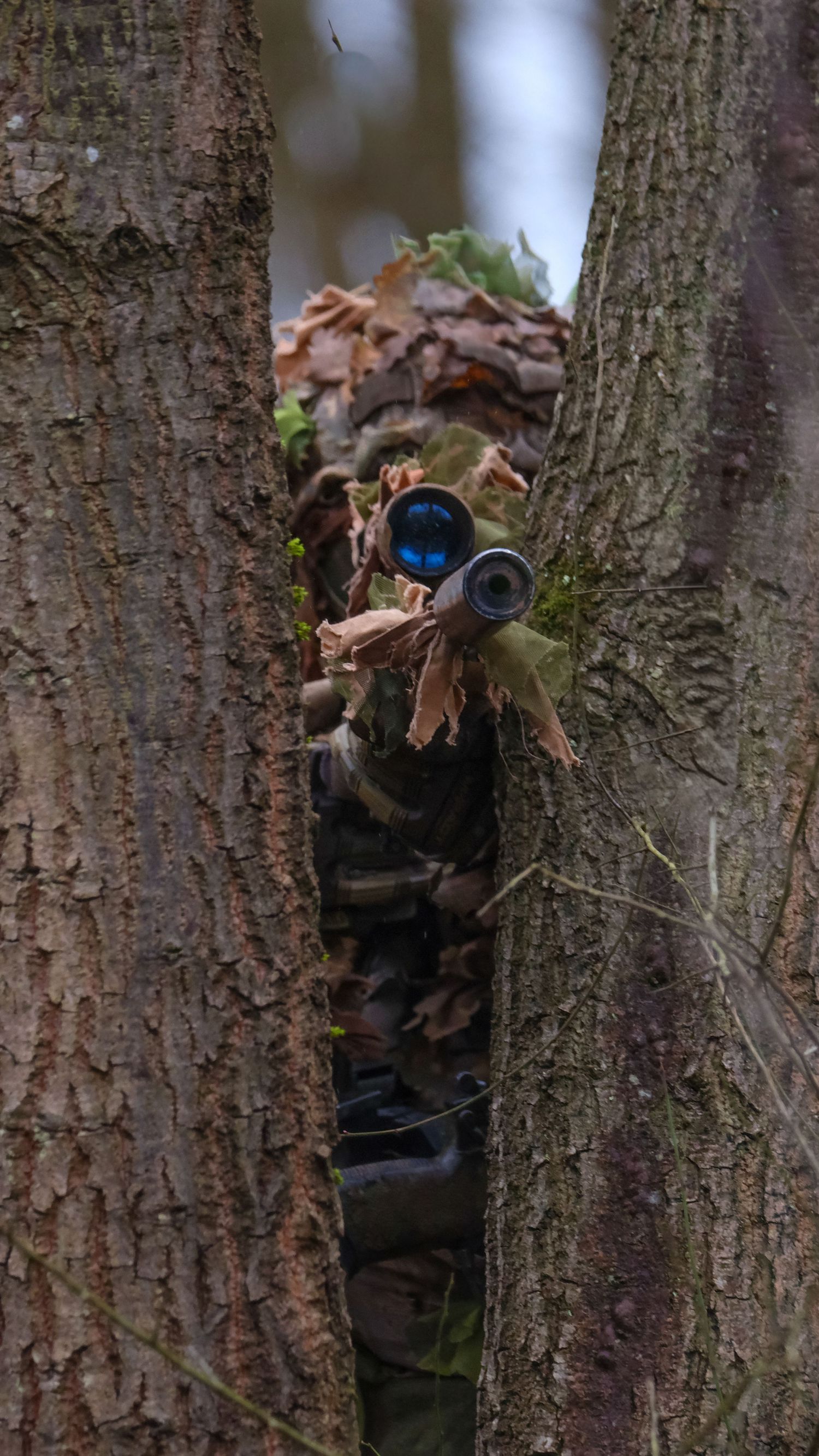 Camouflaged sniper hidden between two trees aiming rifle with blue scope in woodland setting. Photo Taken by AJCoatesPhotography