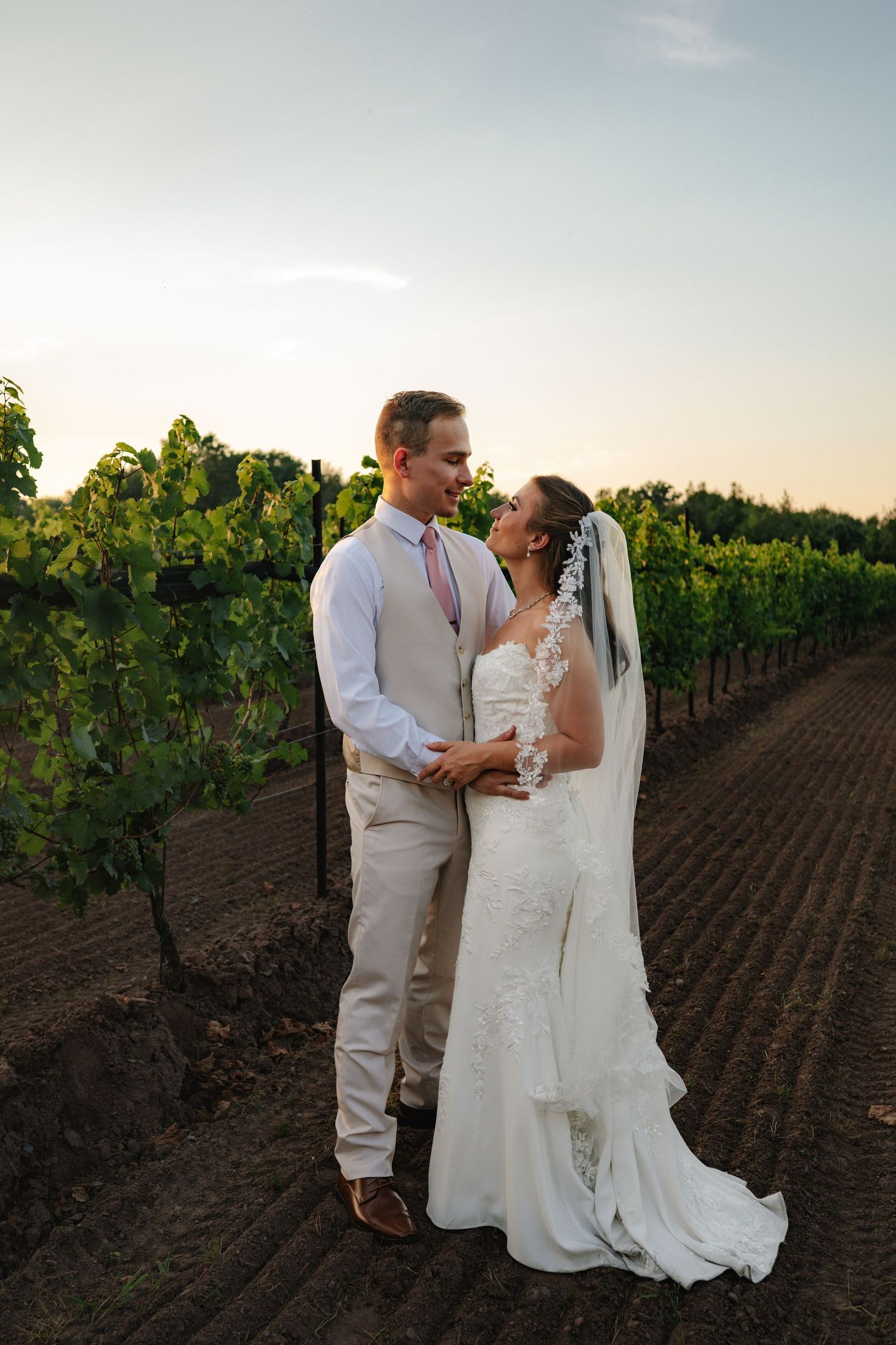 Bride and groom embrace in a vineyard at sunset, wearing white gown with veil and tan suit with pink tie.