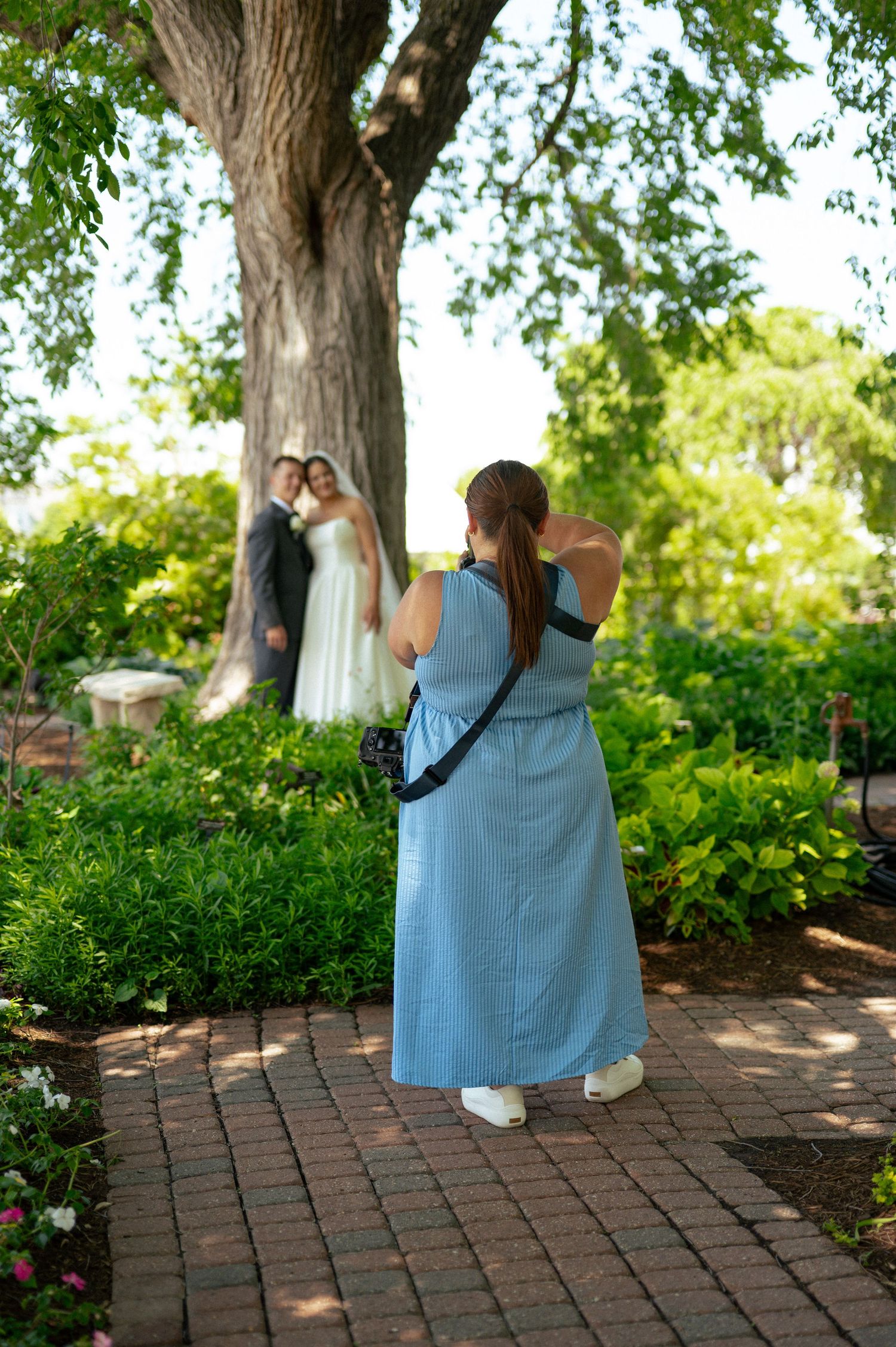 A female wedding photographer in a blue dress captures a couple posing under a large tree in a garden.