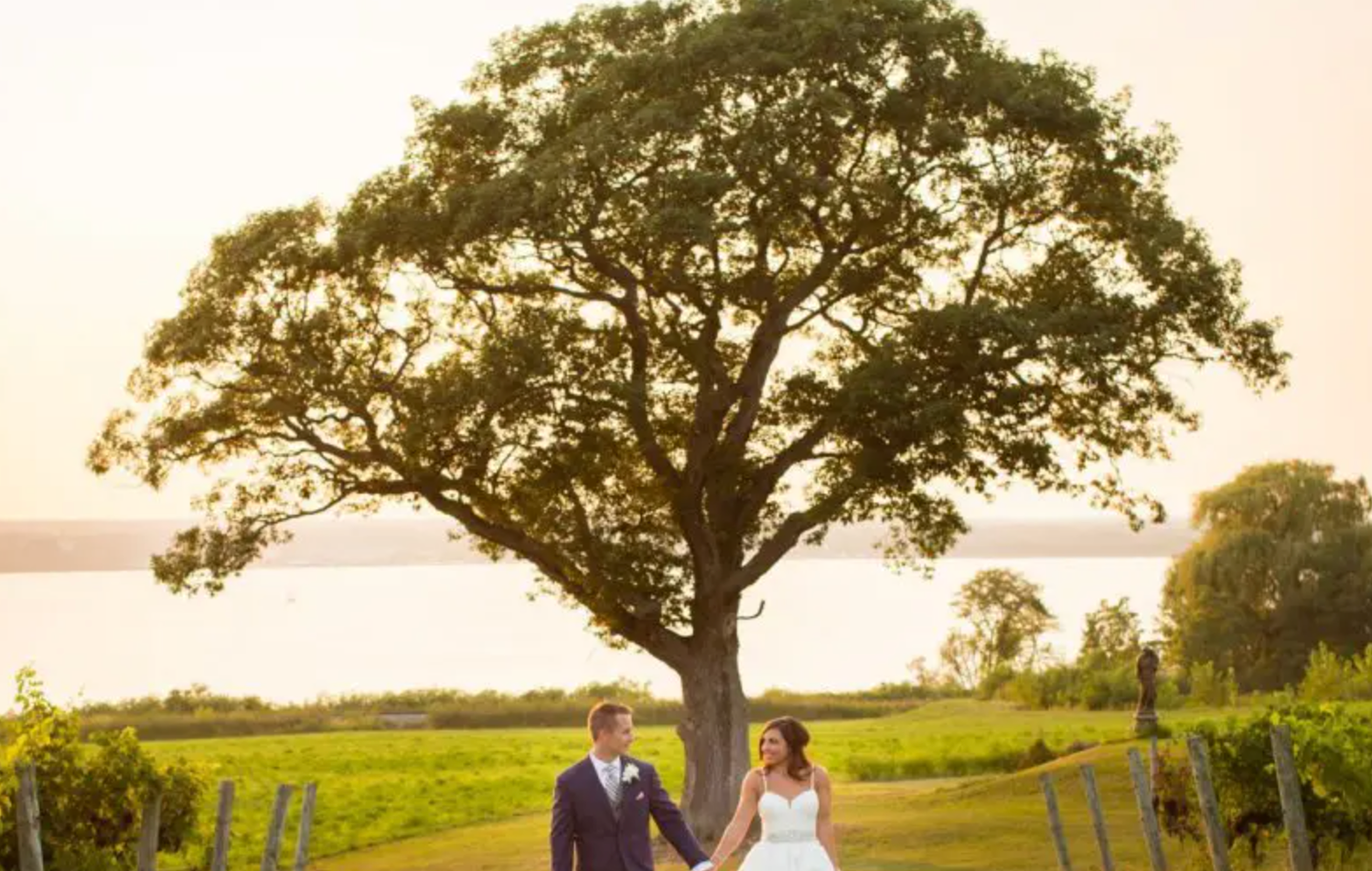 A couple walks through a scenic field at sunset with tall trees silhouetted against the golden sky.