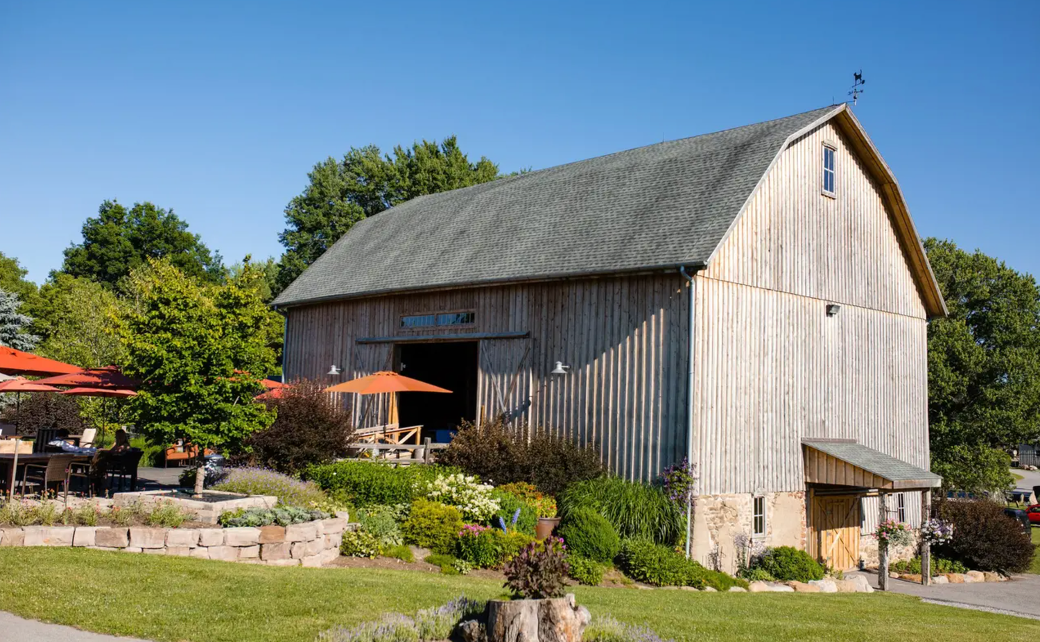 A panoramic view of rustic white barns and farm buildings set against a bright blue sky on a sunny day.