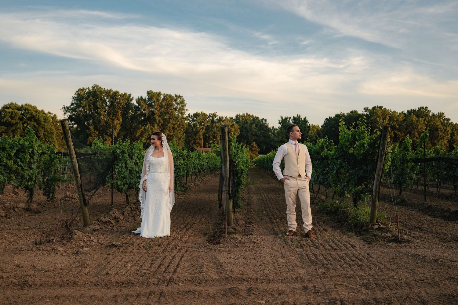Bride and groom stand apart in a rustic vineyard at sunset in elegant wedding attire.