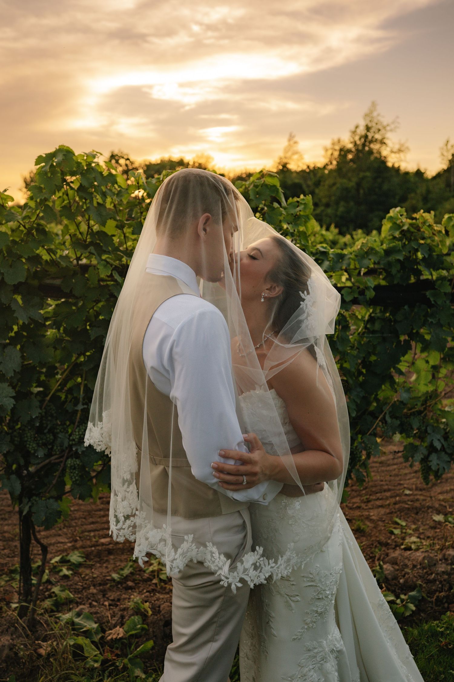 Bride and groom kissing under a veil at sunset in a lush vineyard, wearing wedding dress and tan suit.