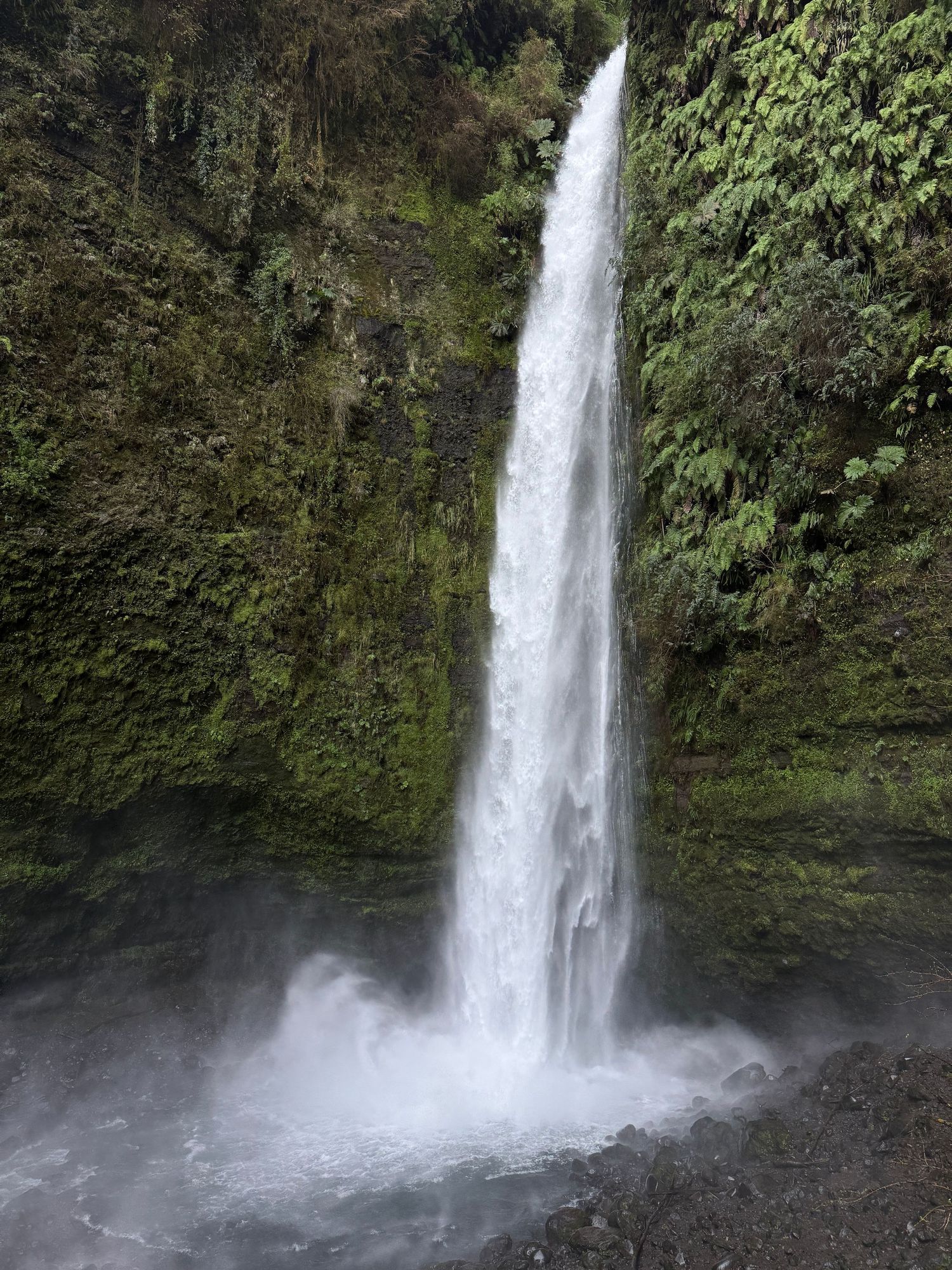 Beautiful view of Las Cascadas, Parque nacional Vicente, The Los Lagos Region of southern Chile, captured during a private Gaul Tours