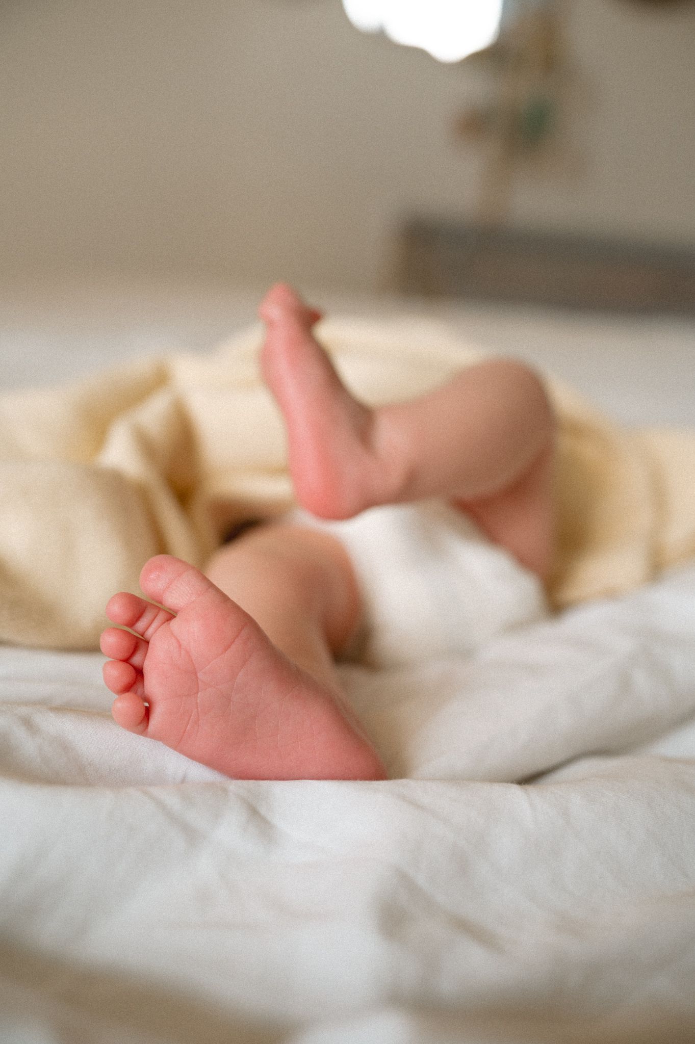 newborn photography session in coral gables, Florida