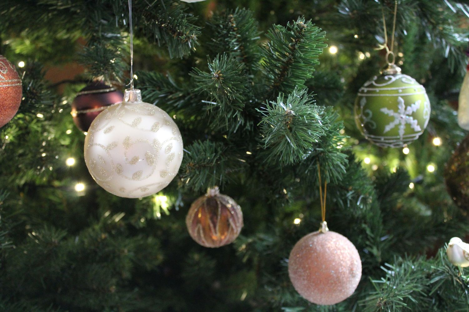 Kerstfoto's door Studio Reynaerts