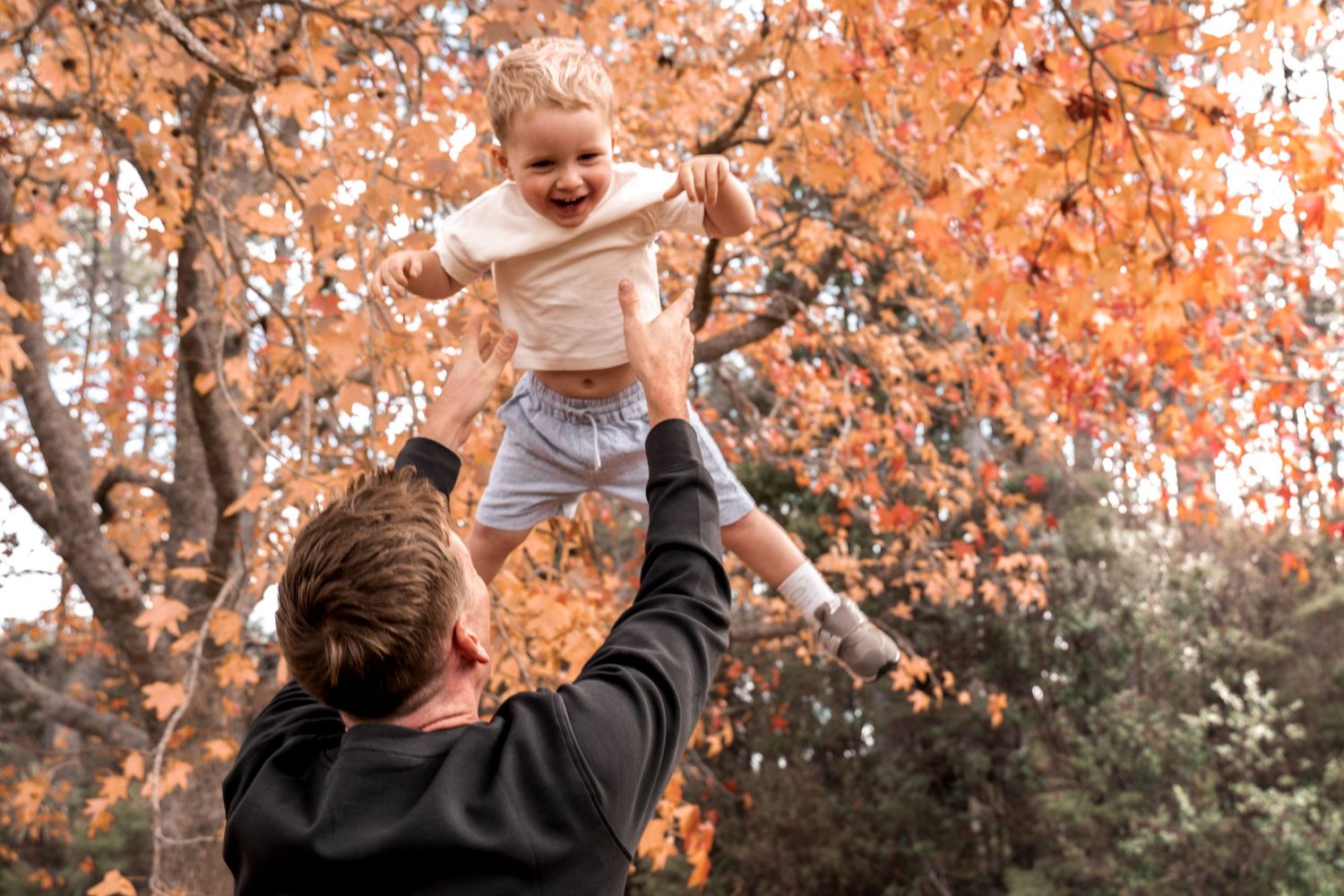 Father joyfully lifting laughing toddler in autumn park with vibrant orange fall foliage in background.