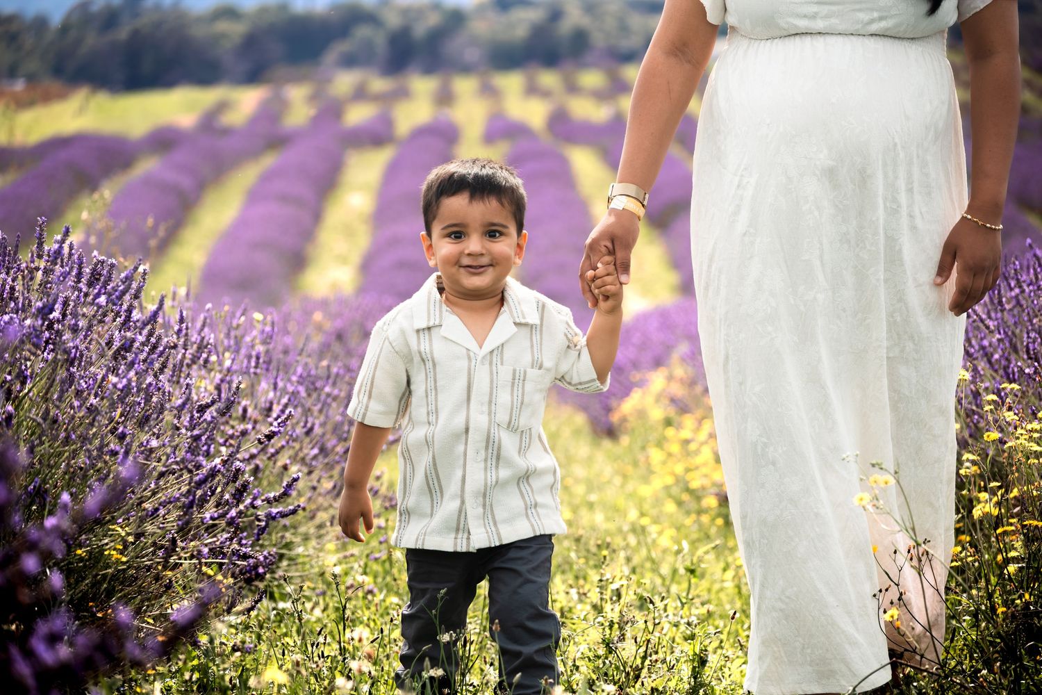 A smiling toddler boy holds hands with a woman in a white dress while walking through a vibrant purple lavender field.