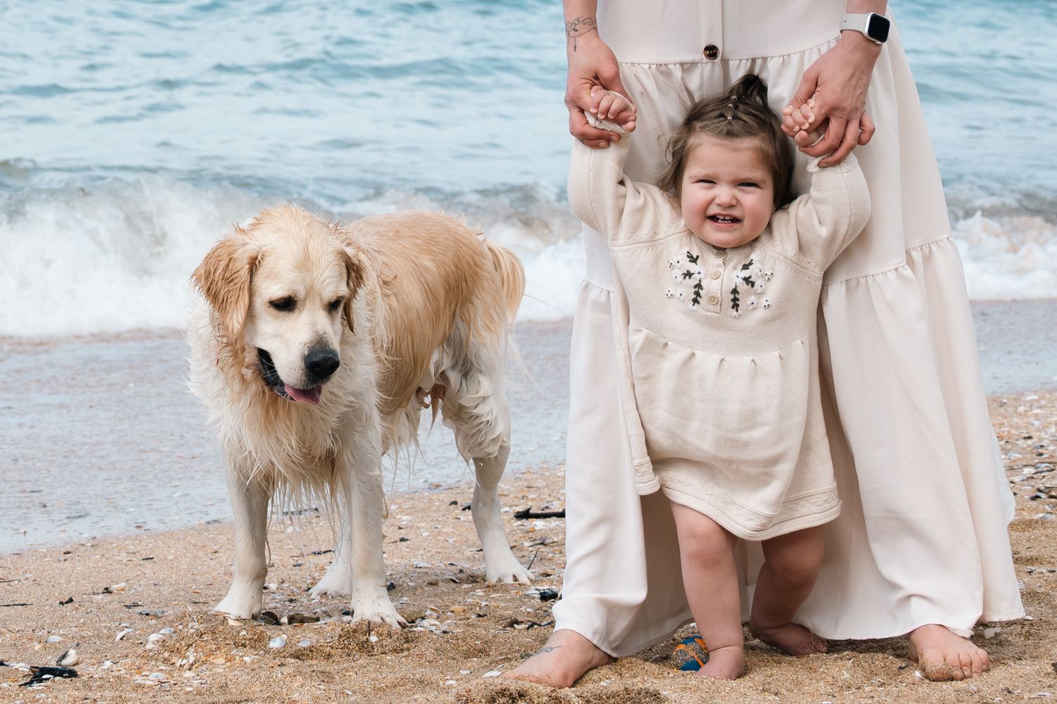 A wet golden retriever stands beside a laughing toddler in a white dress held by an adult on a sandy beach.