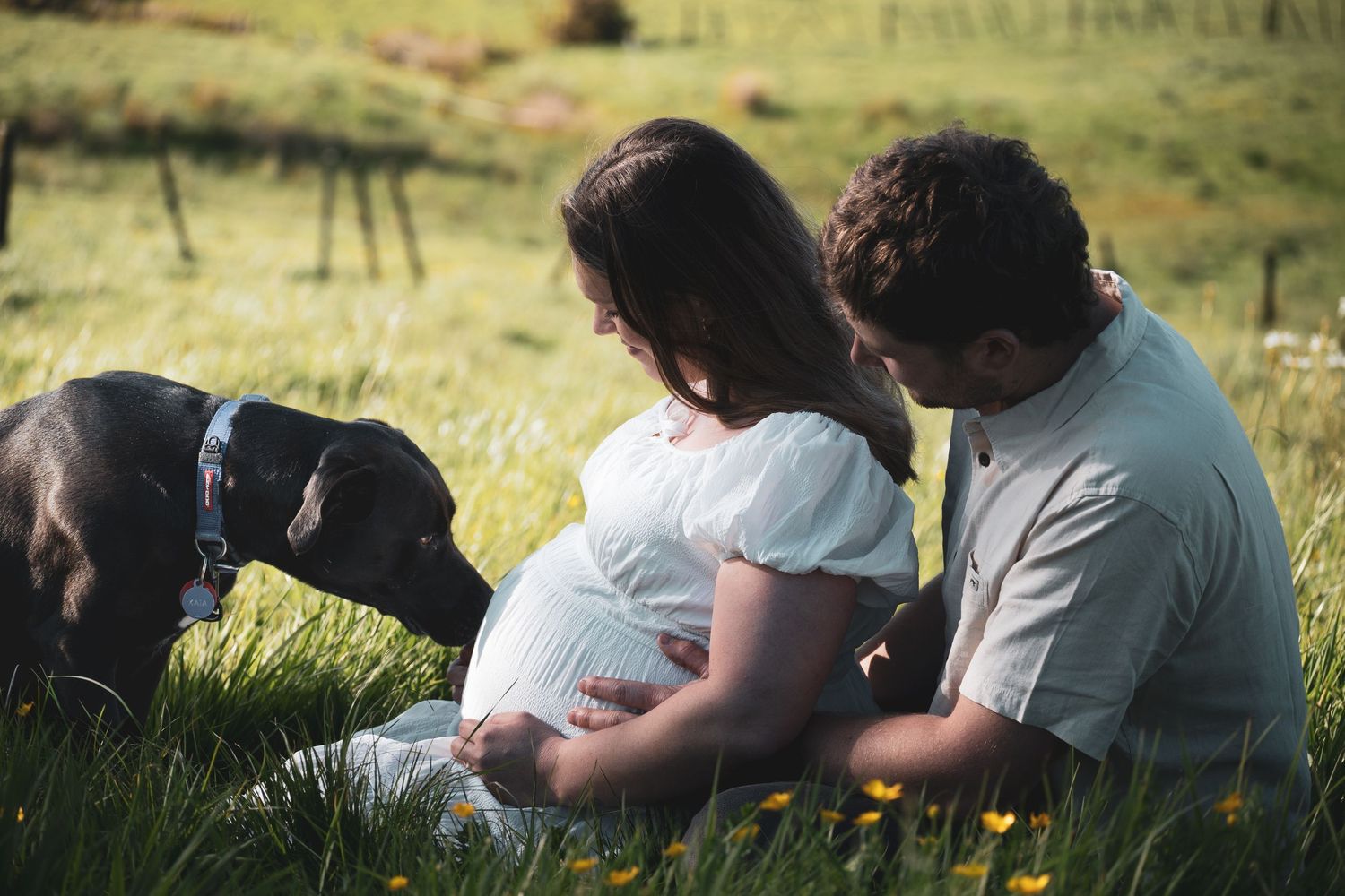 Pregnant couple sitting in green grass field with black Labrador dog during outdoor maternity photo session.