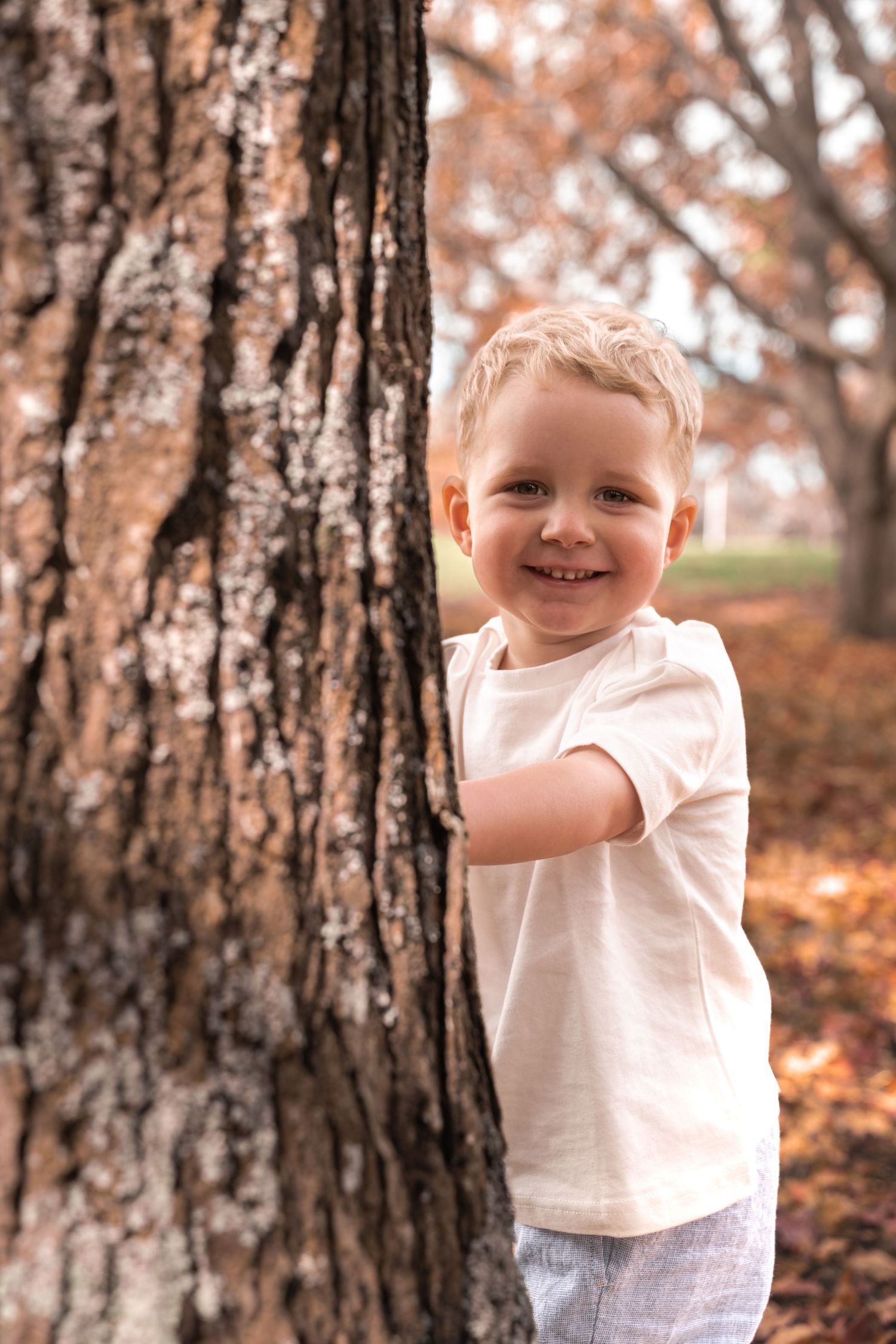 Smiling toddler boy in white t-shirt peeking around a large tree trunk in an autumn park.