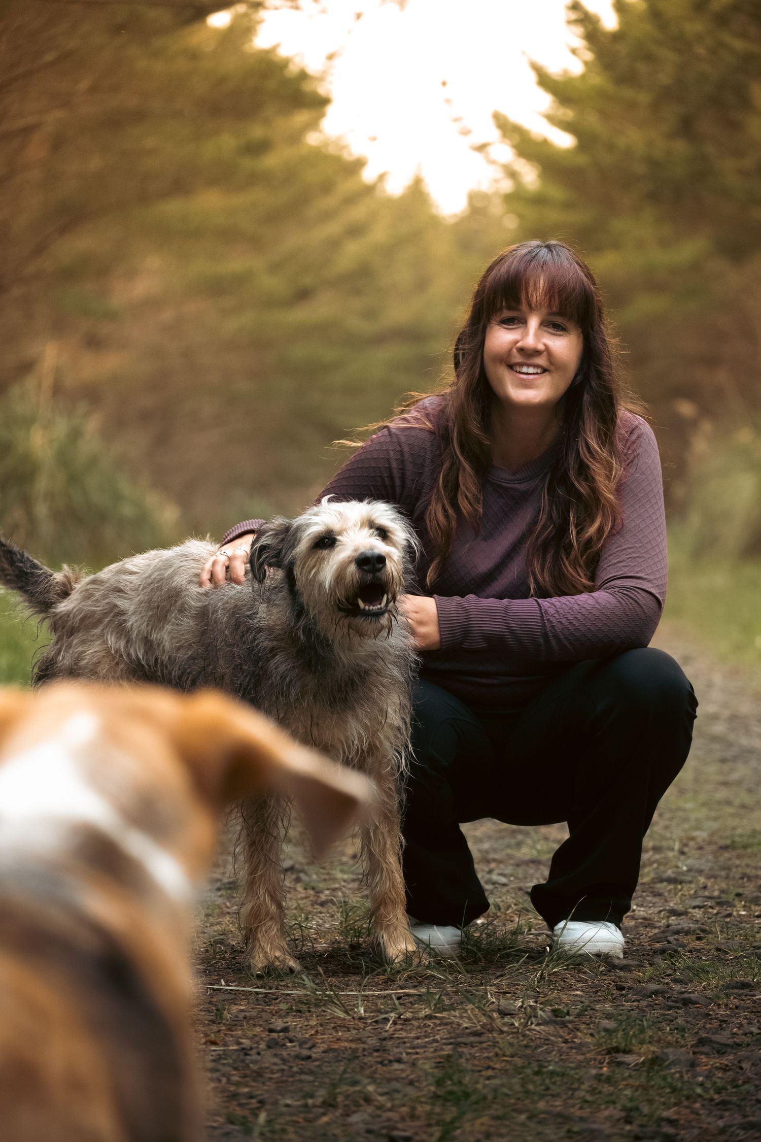 Smiling woman crouching on a forest path with two dogs, bathed in warm golden sunlight filtering through trees.