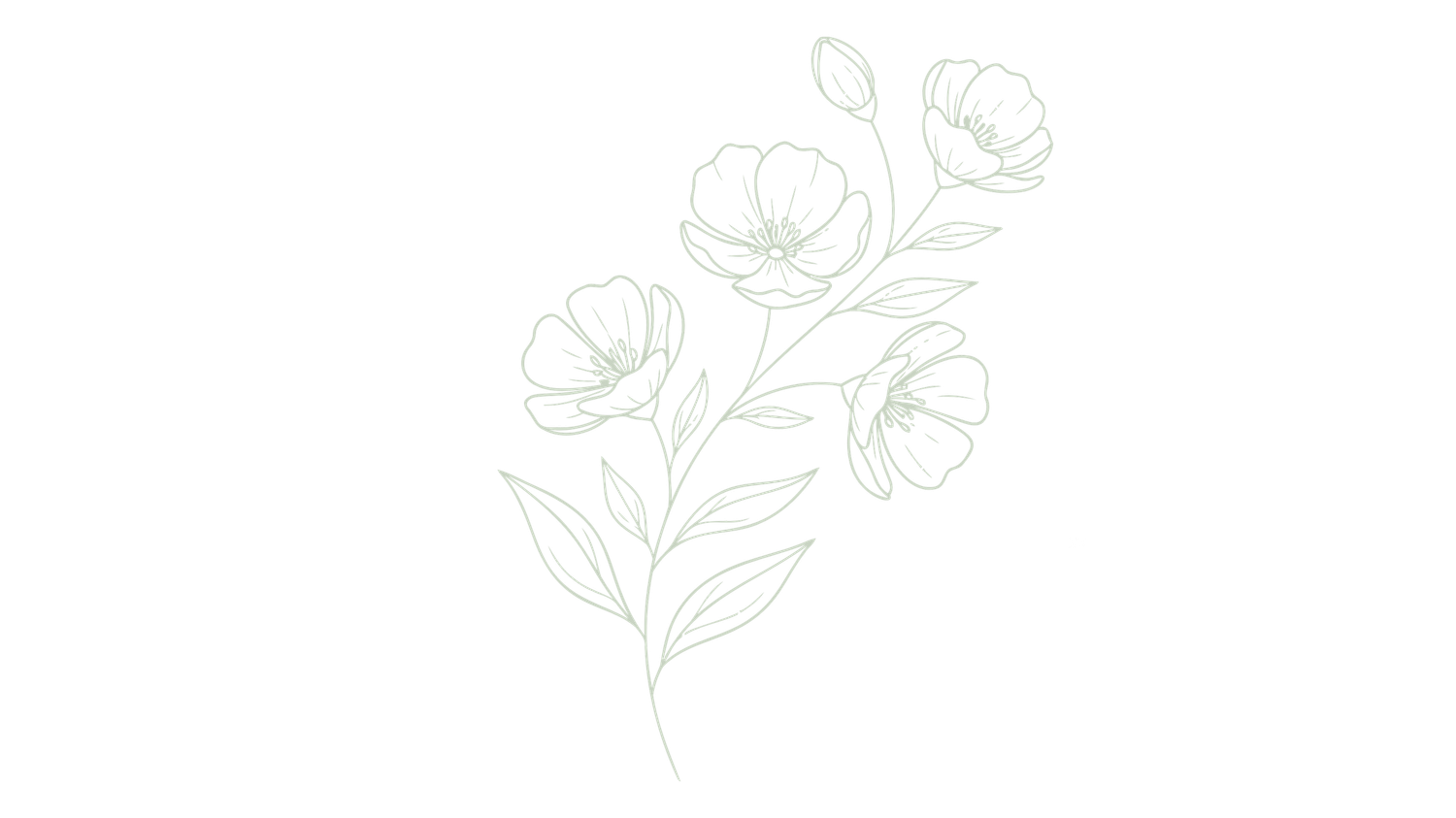 Minimalist green botanical line drawing of poppy flowers and leaves on white background.