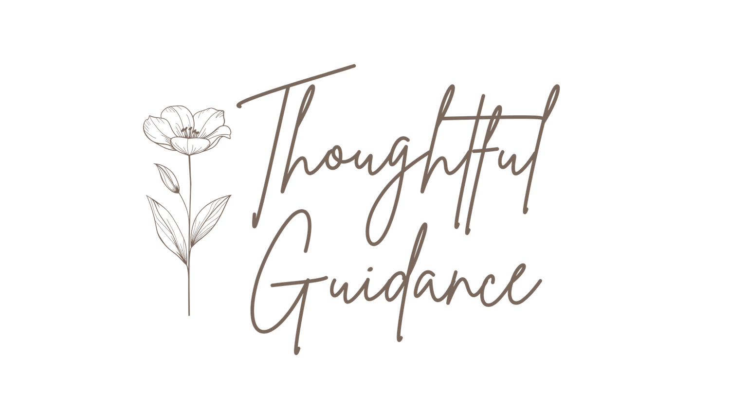 thoughtful guidance when helping you decided what package fits best for your photography needs