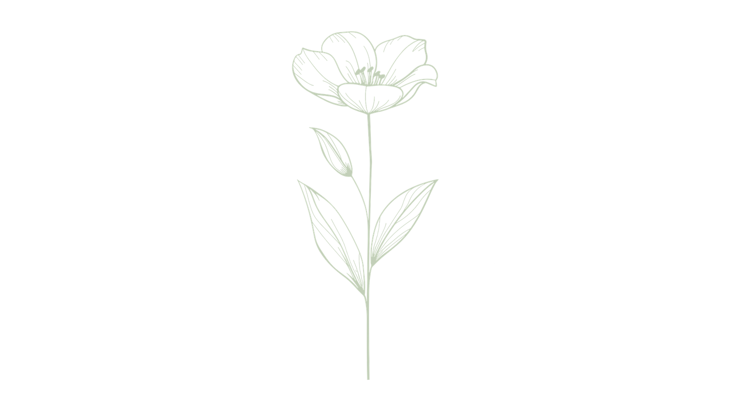Minimalist line art illustration of a delicate flower with leaves on a stem in soft green ink.