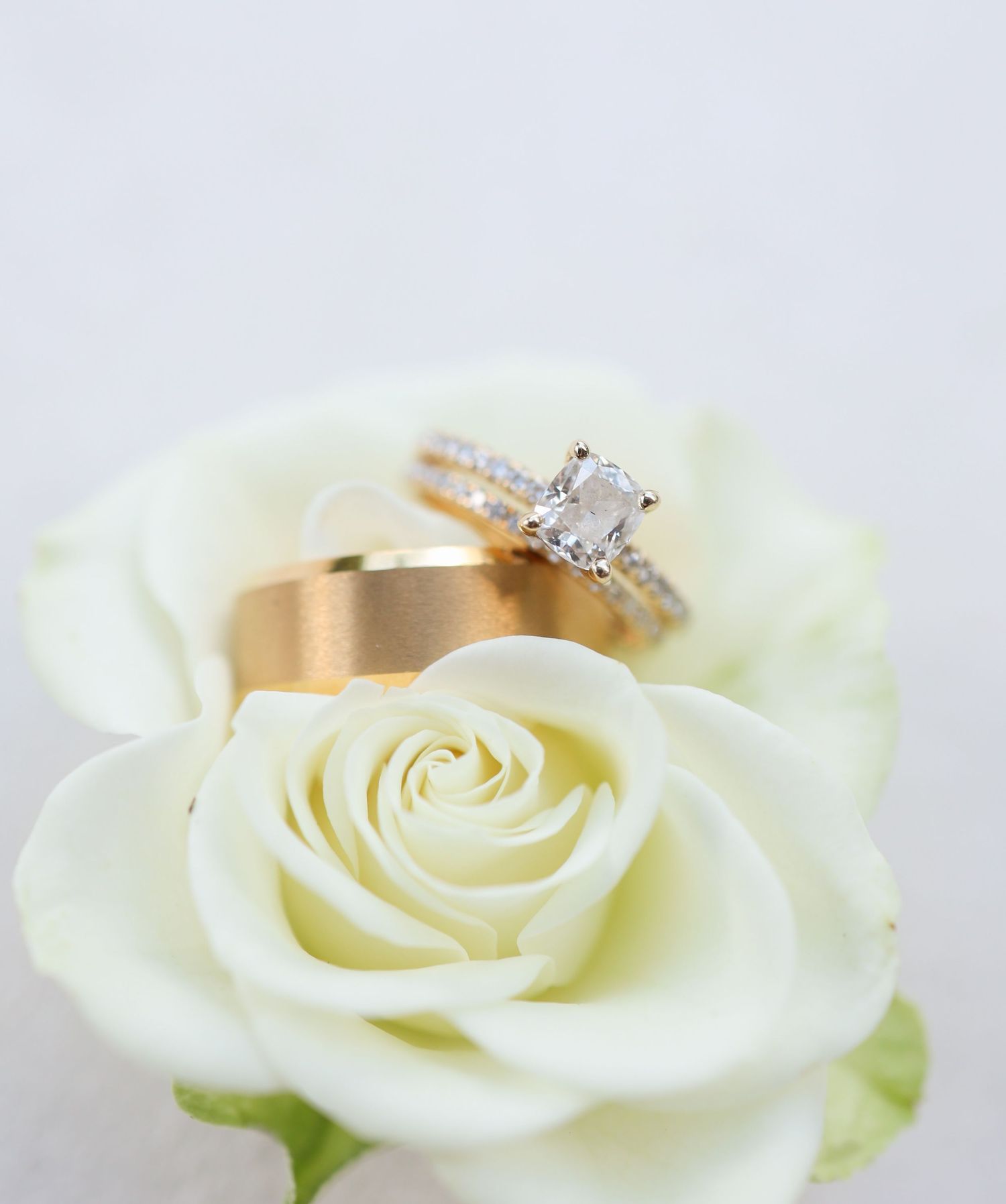 Gold wedding band and diamond engagement ring resting on a white rose, symbolizing love and marriage.