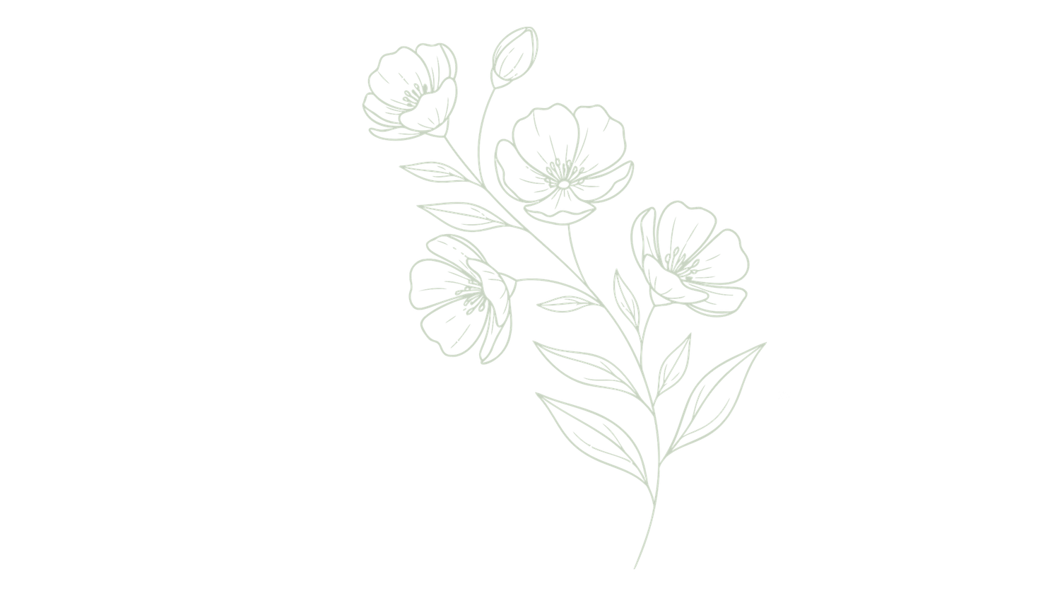 Delicate green line art illustration of blooming flowers and leaves on a white background.