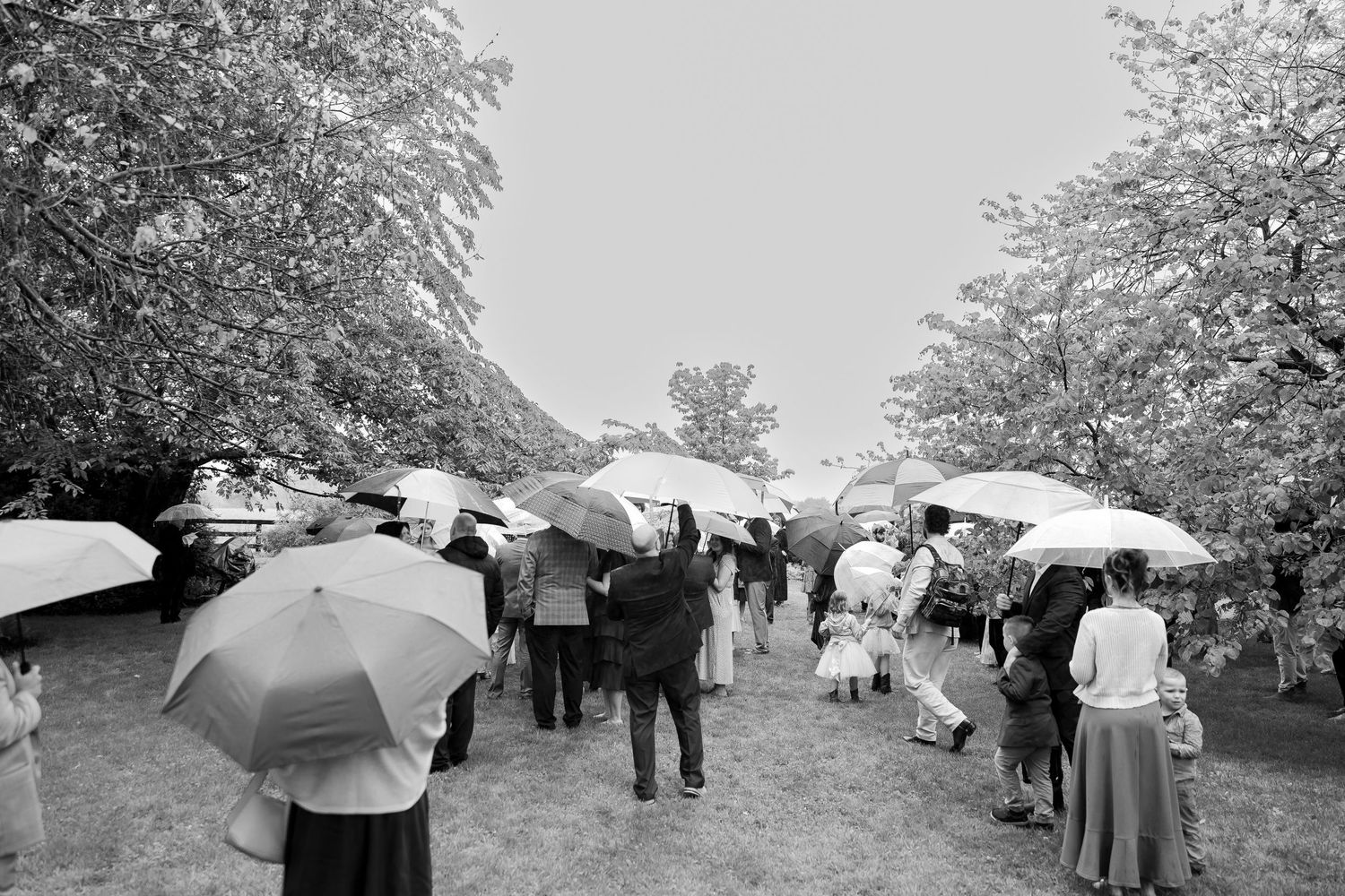 Black and white photo of wedding guests walking under umbrellas on a rainy outdoor path.