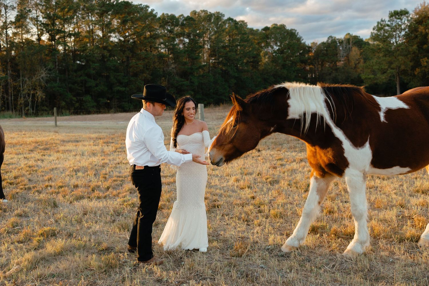 Bride and groom in white attire petting a paint horse foal in a sun-drenched autumn field.