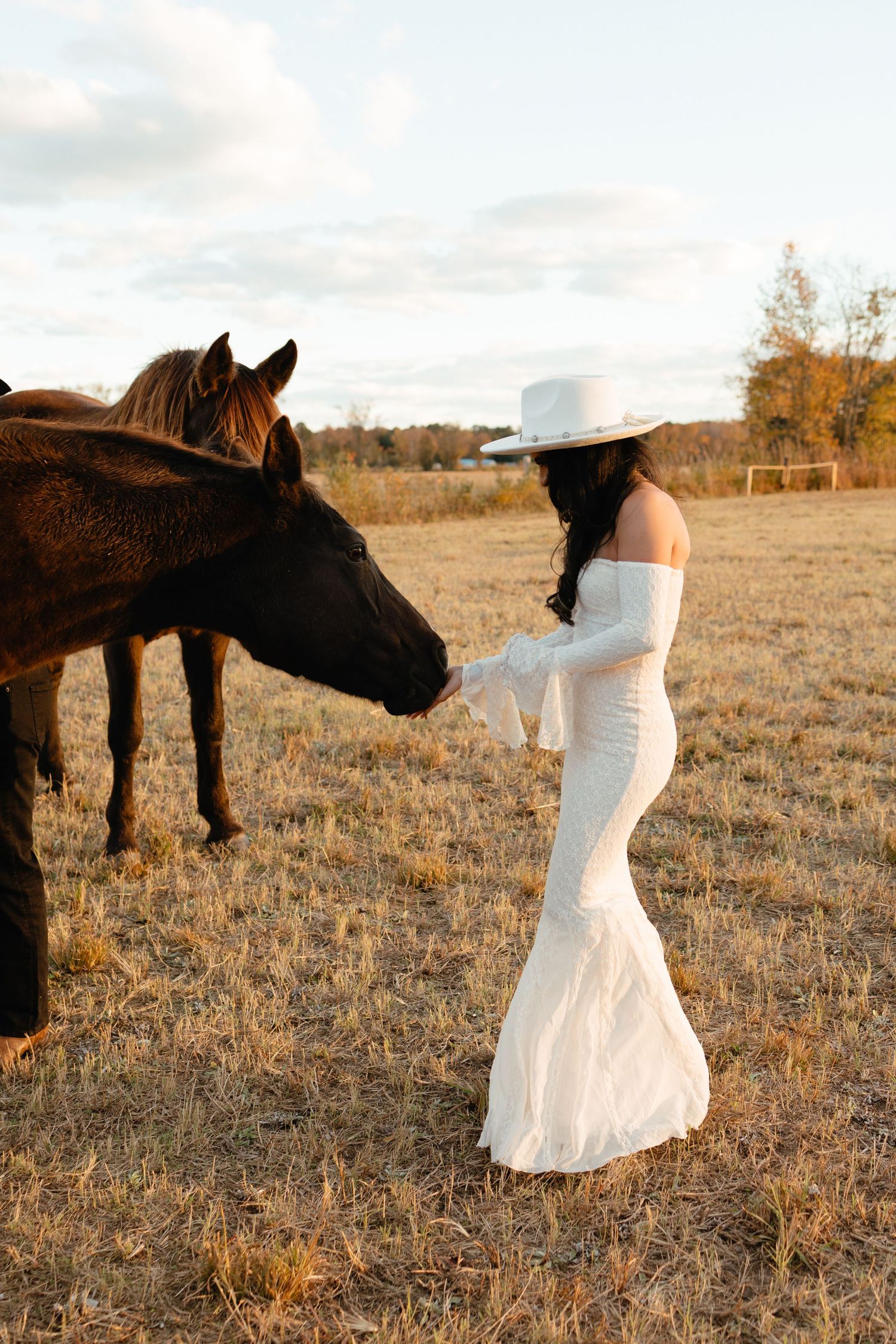 Bride in white off-shoulder gown and wide-brim hat gently petting a dark horse in autumn field.
