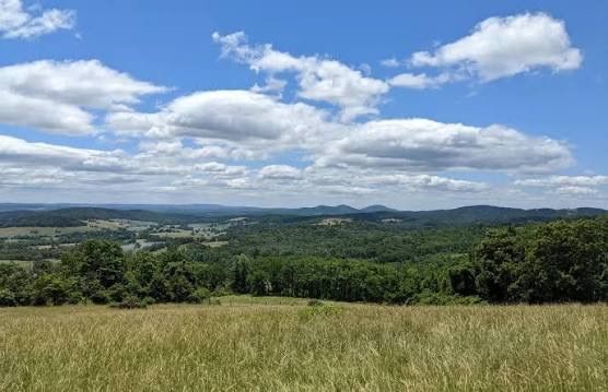 Panoramic view of lush green valley with rolling hills, golden meadow foreground, and blue sky with white clouds.