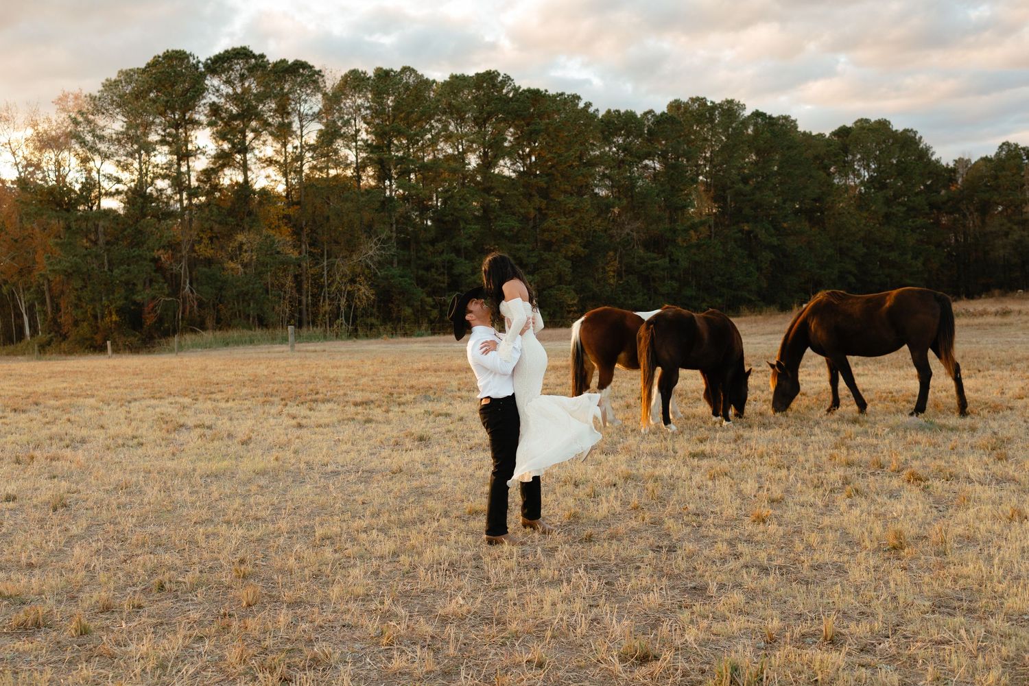 Groom lifting bride in white dress in golden field at sunset with horses grazing nearby.
