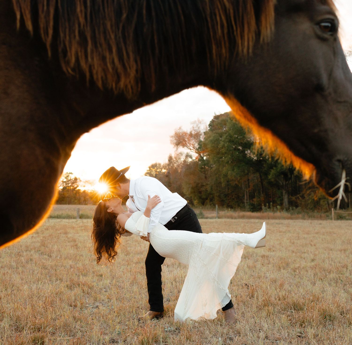 Couple shares romantic dip kiss at golden sunset framed beneath a dark horse in open field.