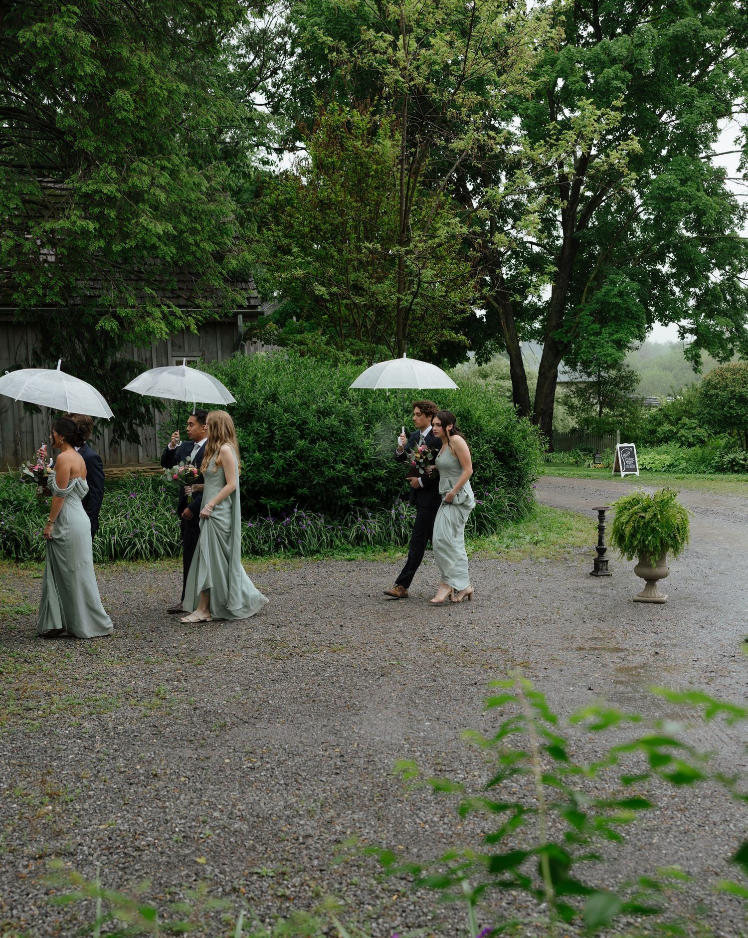 Wedding party with white umbrellas walks along gravel path surrounded by lush greenery on rainy day.